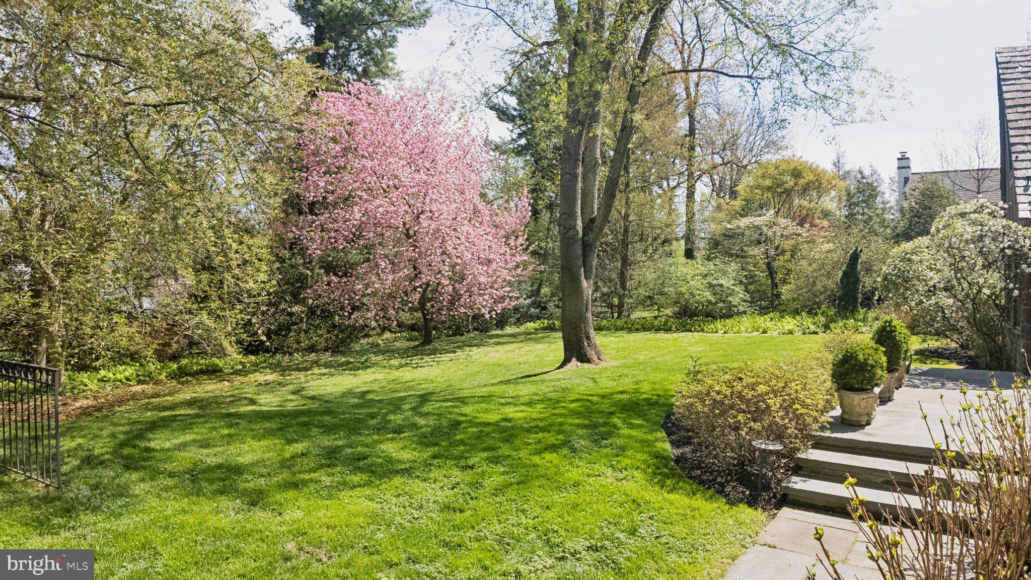 BRYN MAWR - Residential