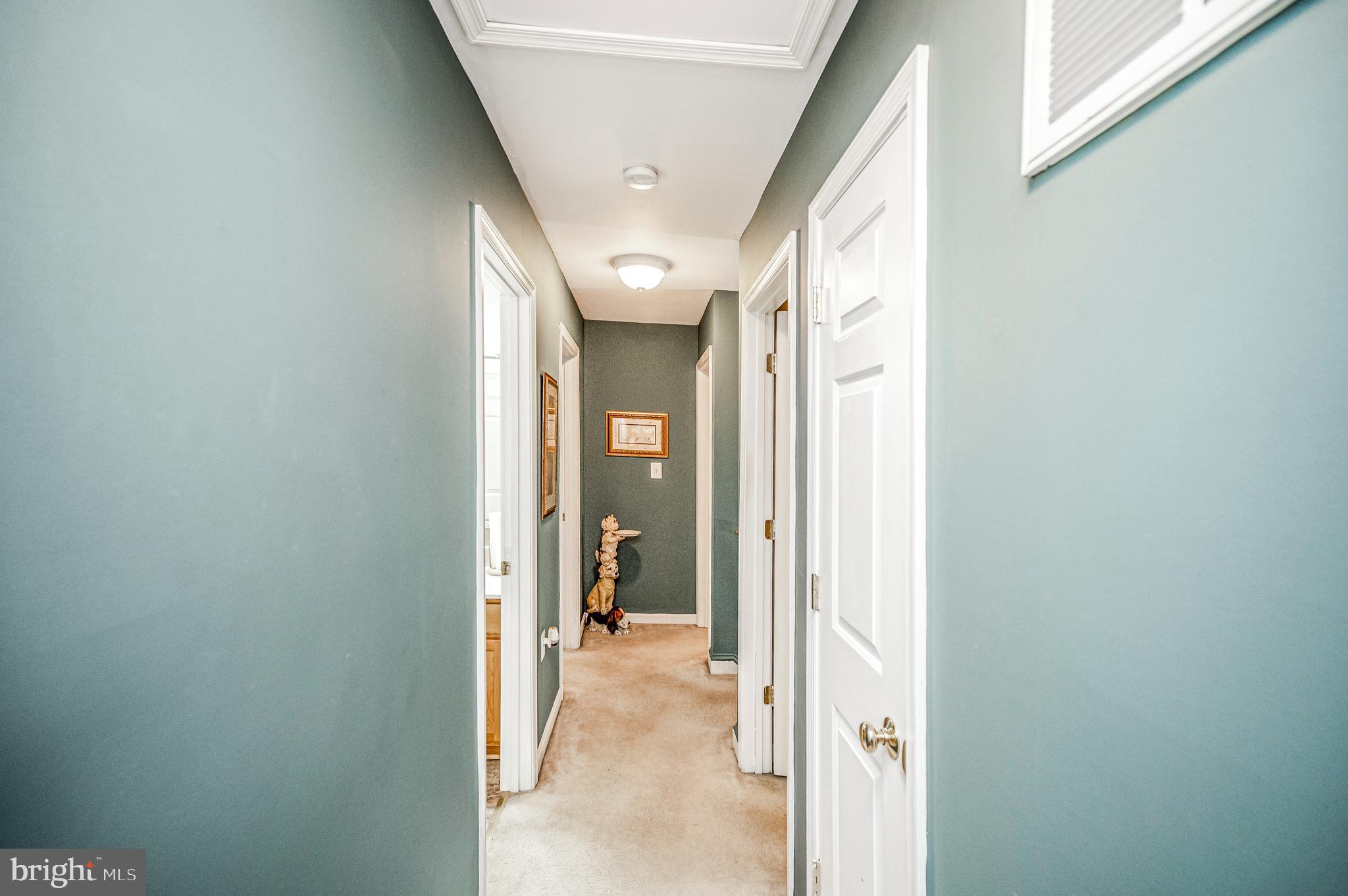OAK HILL - Residential