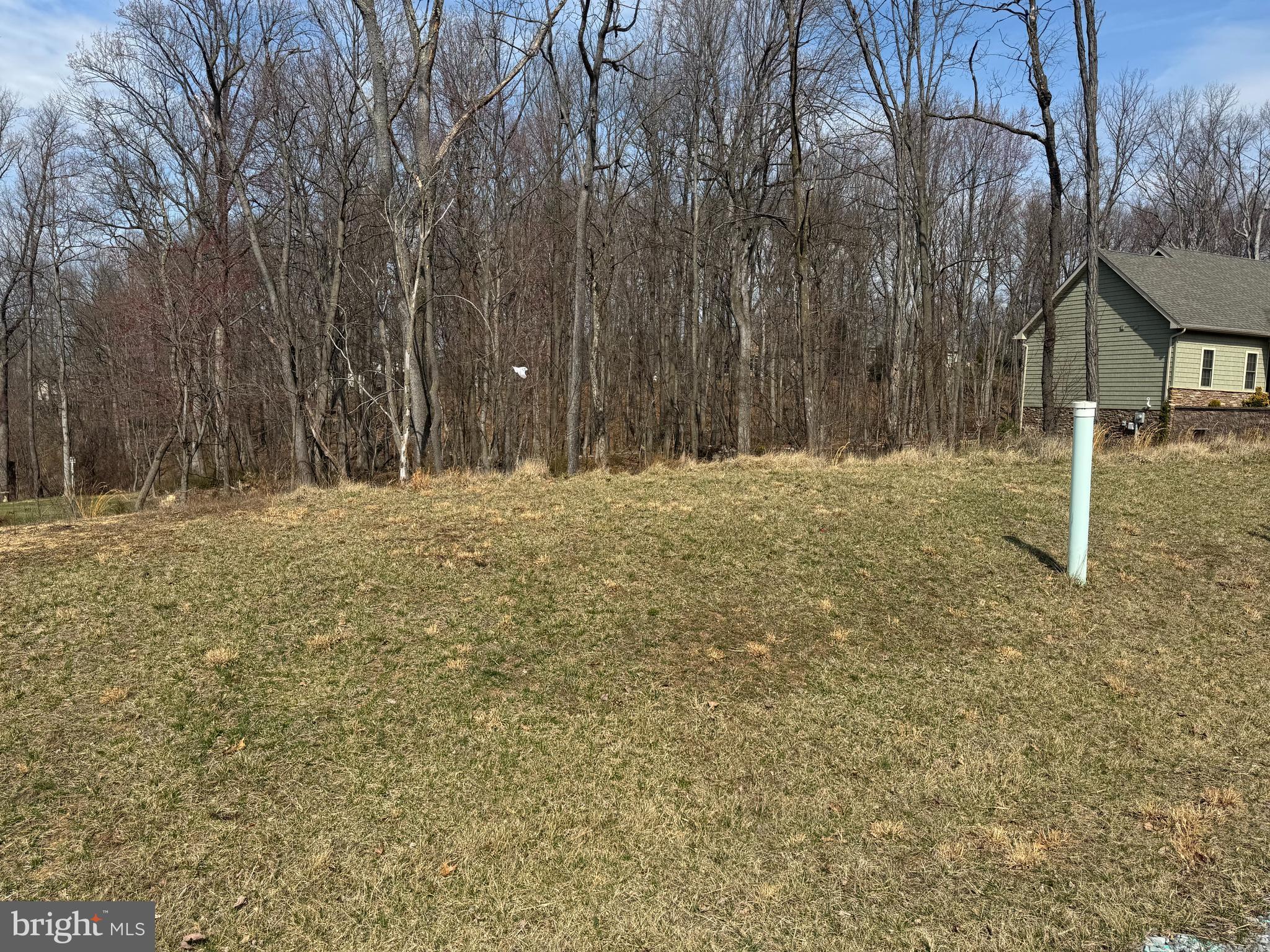 FOREST HILLS - Land