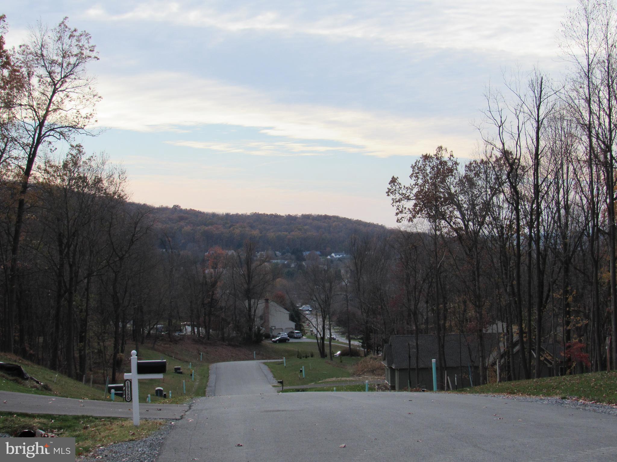 FOREST HILLS - Land