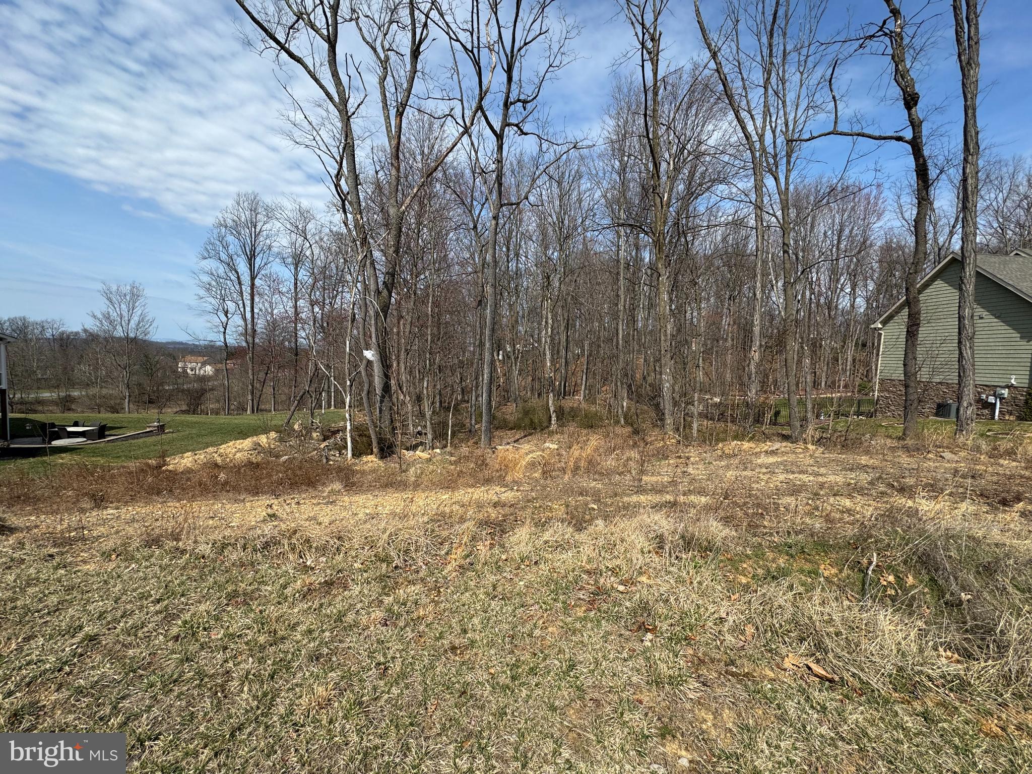 FOREST HILLS - Land