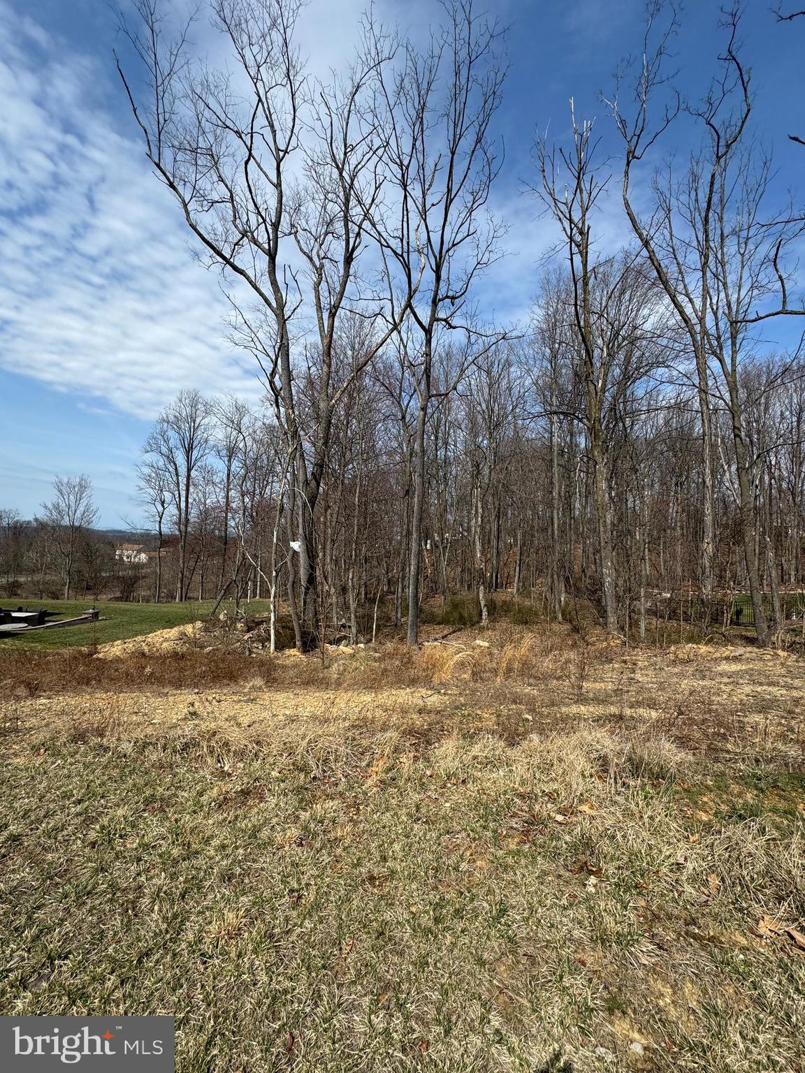 FOREST HILLS - Land