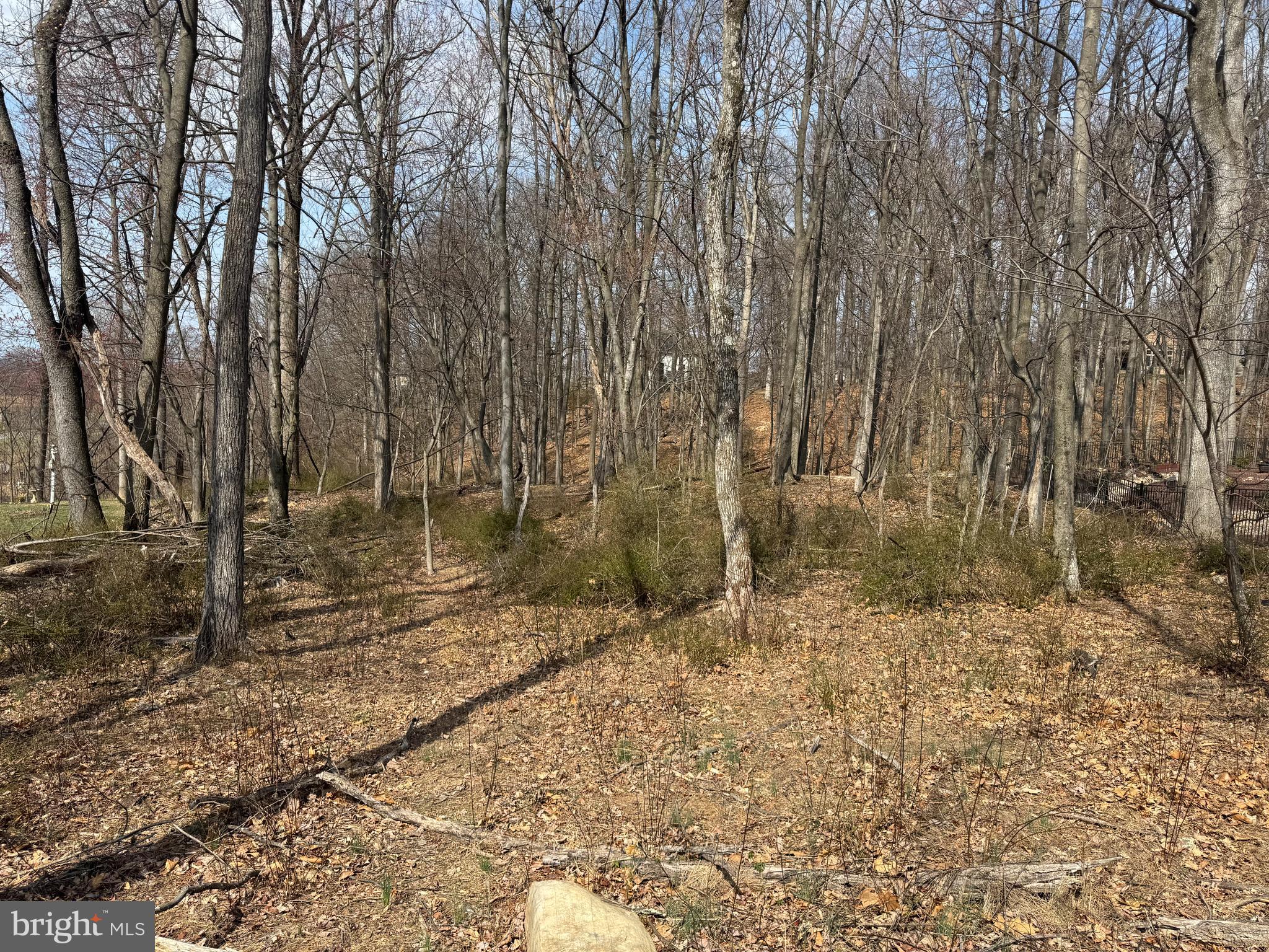 FOREST HILLS - Land