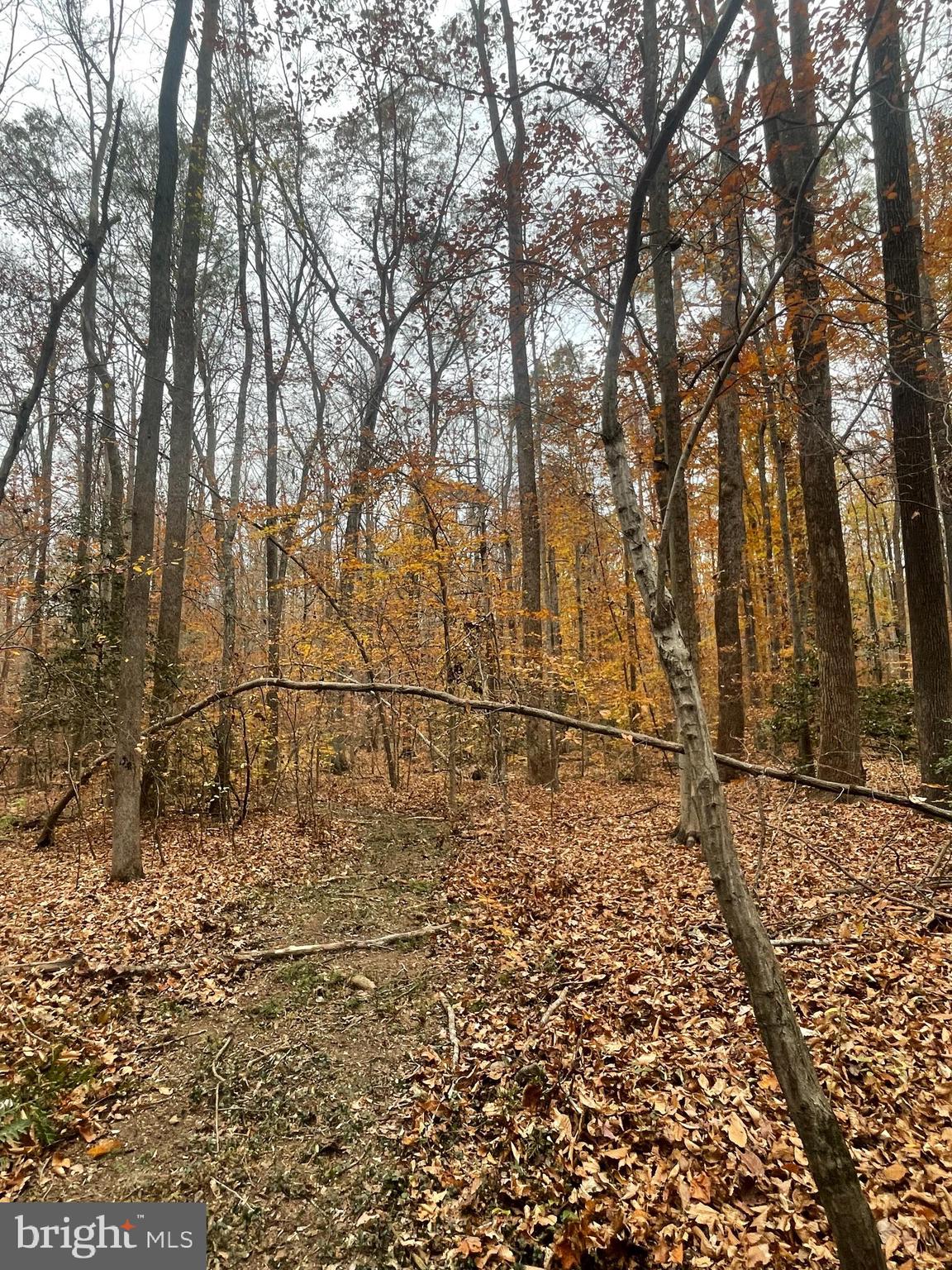 MILLWOOD - Land