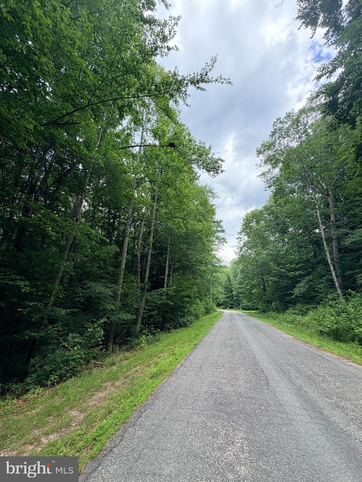 MILLWOOD - Land