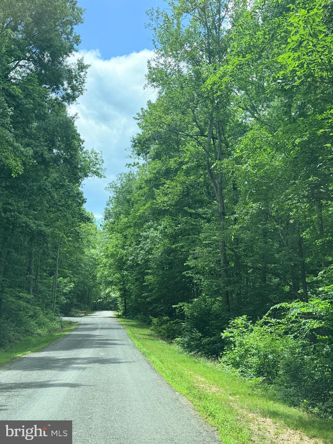 Welcome to 8704 Millwood Dr! This picturesque lot sits on a quiet road that ends in a cul de sac. Each home is afforded tons of wooded privacy, and this lot is no different. The lot borders two other buffer lots before you reach the next homes on the street, so the wooded oasis shall be maintained. Current electric can be found running to the road in front of the lot and at one point soil work was completed approving a 3 bedroom alternative drip system. Buyer to verify all information. The community also has wifi that runs to it. This community hosts events and is quiet but welcoming. No HOA either so your future build has limitless potential. Close to shopping and major roads but far enough away to feel like you've escaped. The lot is level and hosts tons of mature hardwoods. The Po River sits behind the lot to the left a bit but out of the lot lines. You can't find a better lot to build on for this price! Come check it out today!