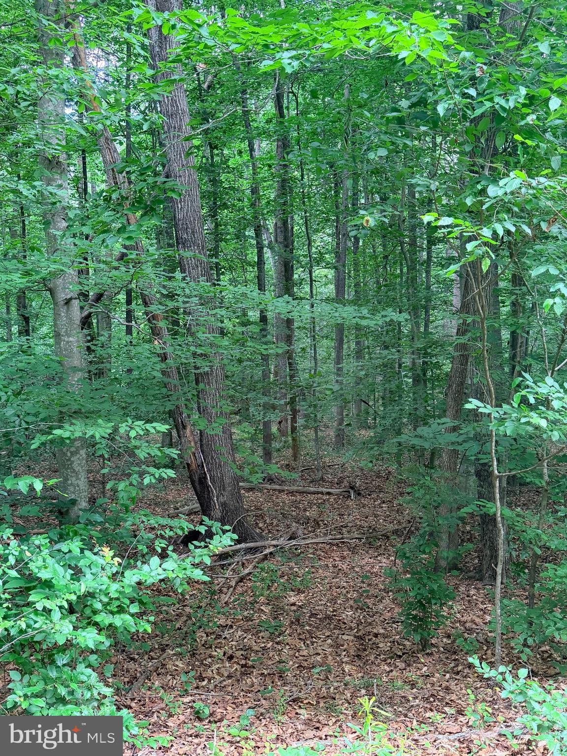 MILLWOOD - Land