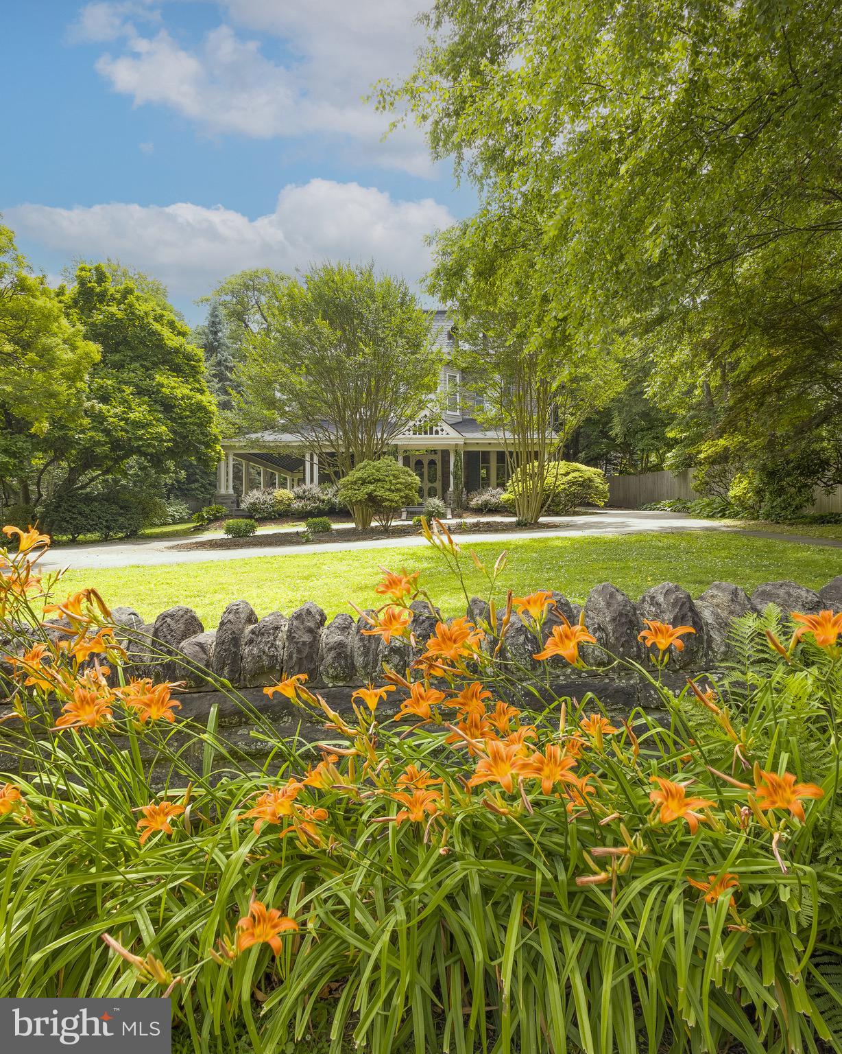 CHESTNUT HILL - Residential