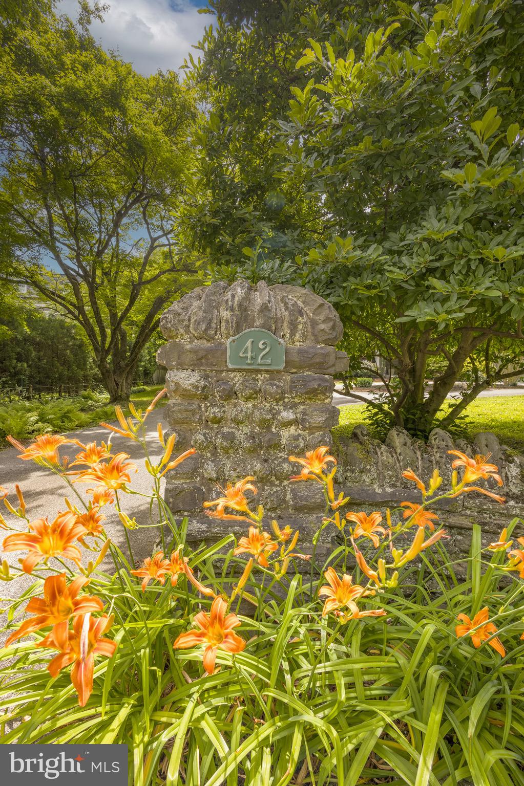 CHESTNUT HILL - Residential