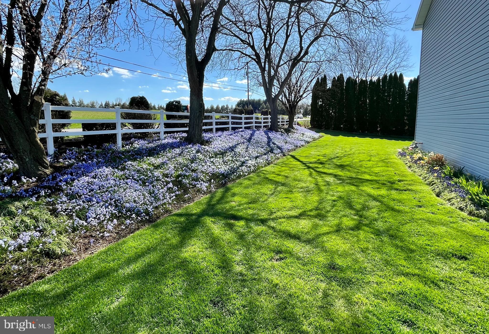 RUNNYMEDE EAST - Residential