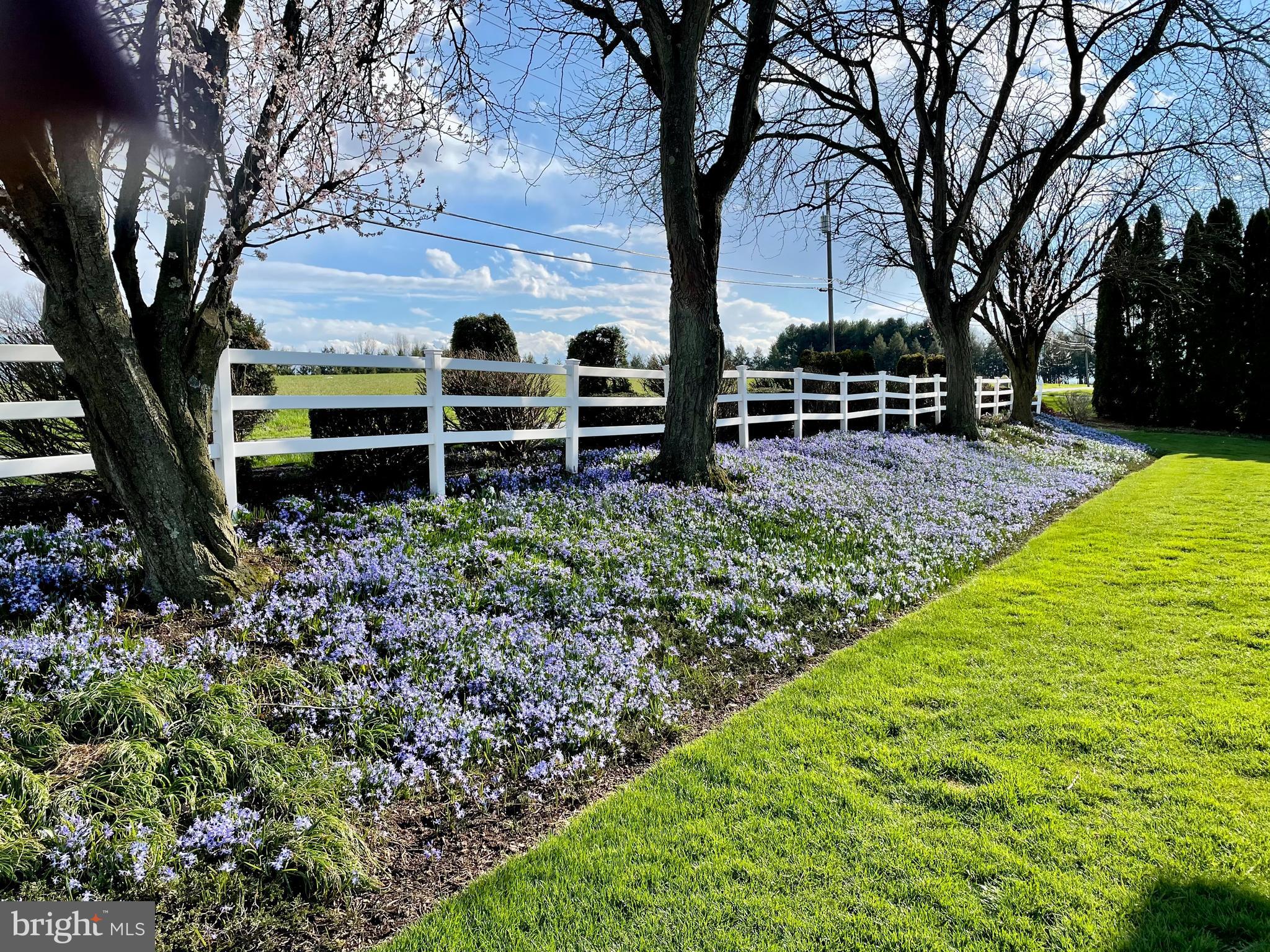 RUNNYMEDE EAST - Residential