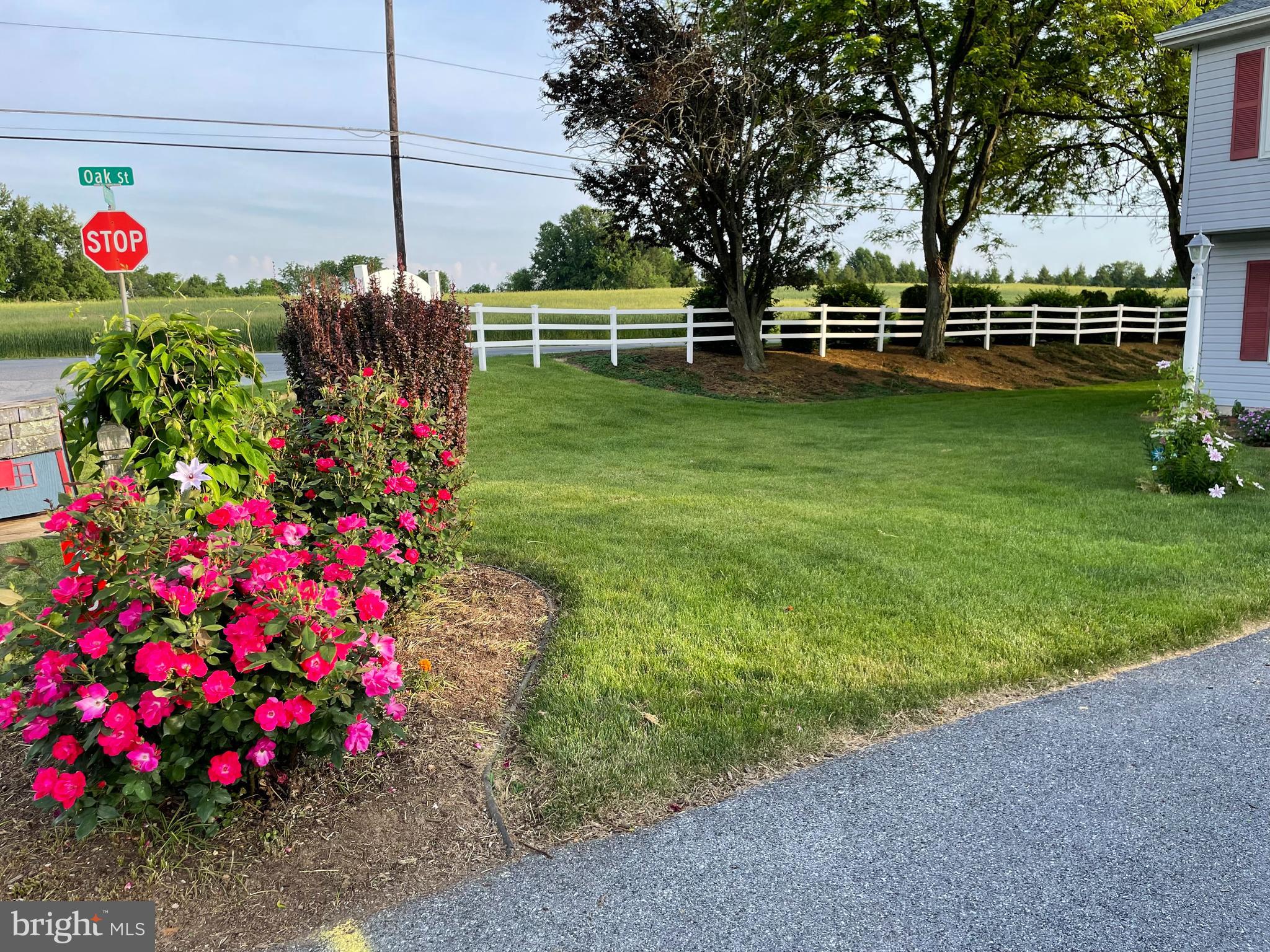 RUNNYMEDE EAST - Residential