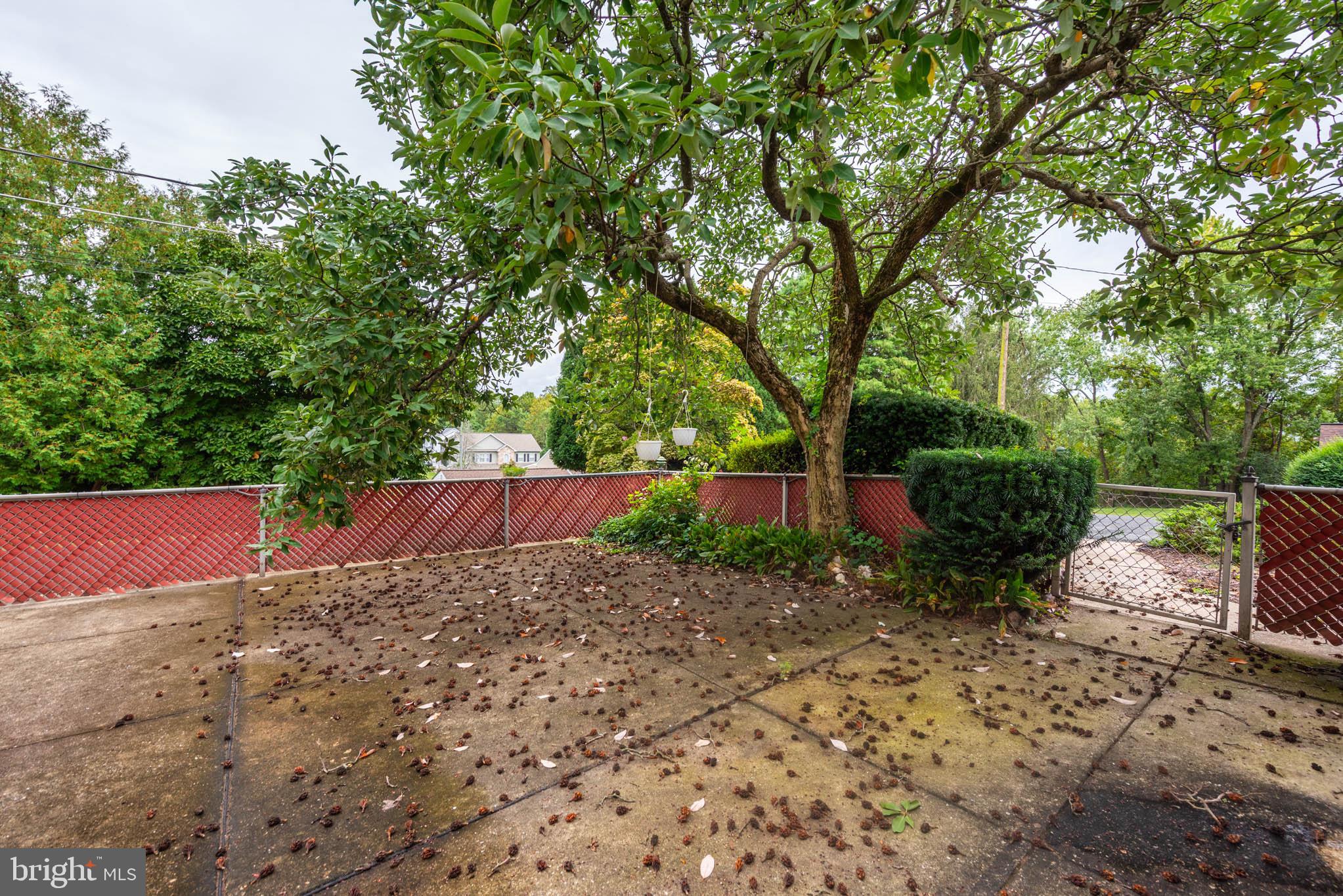 CARNEY GROVE - Residential