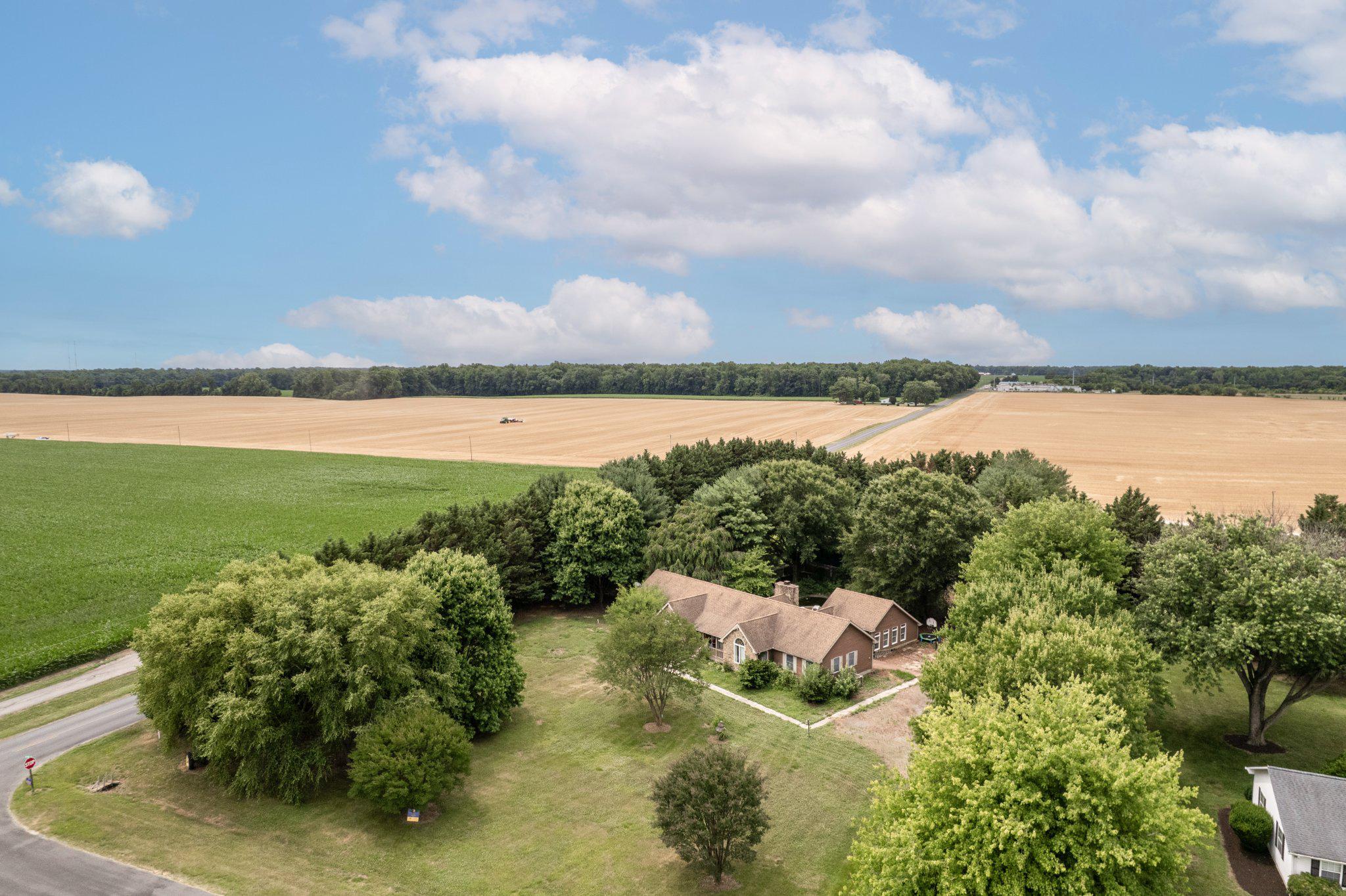 CHESTNUT MEADOWS - Residential