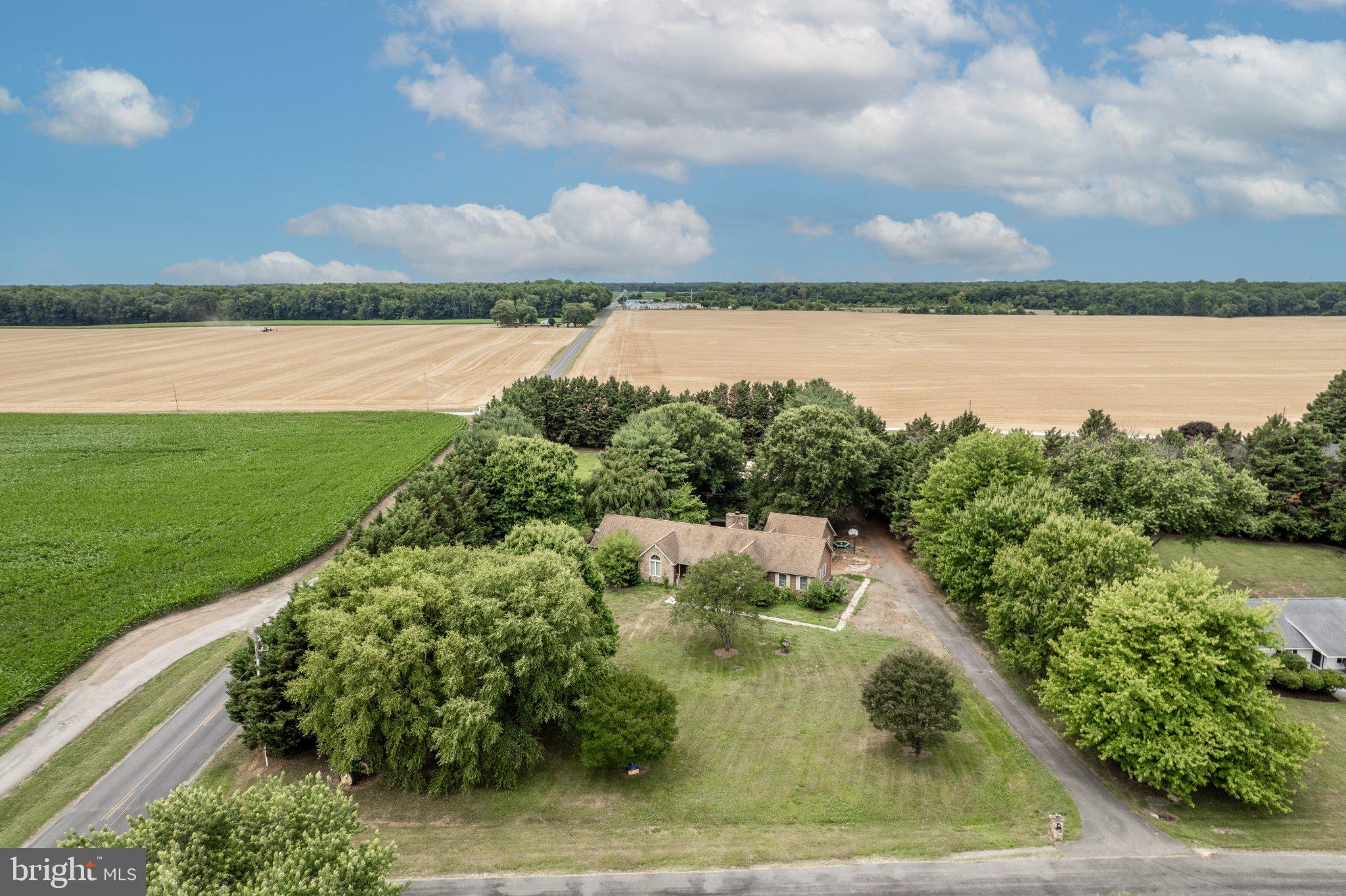 CHESTNUT MEADOWS - Residential