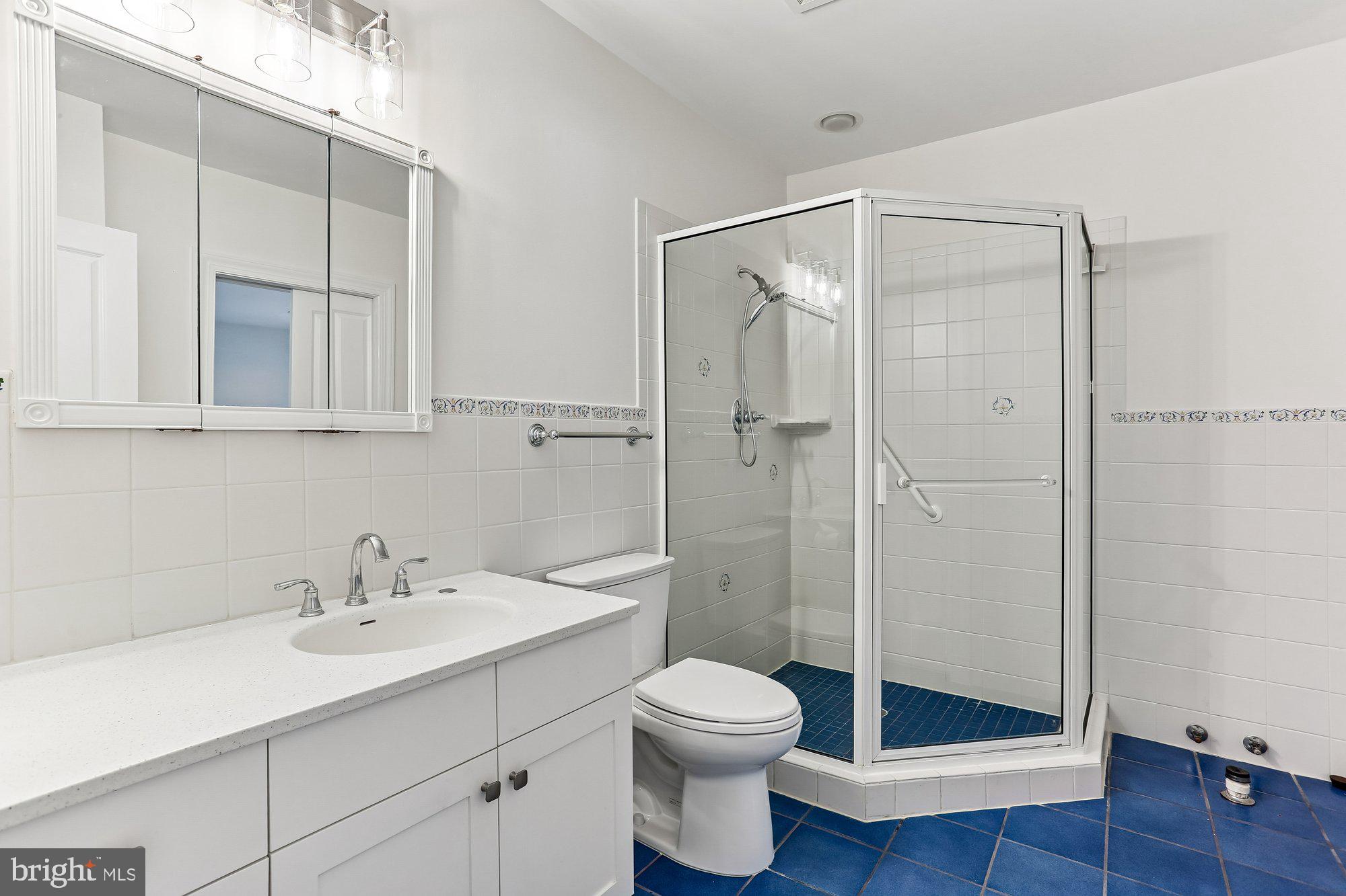 CHEVY CHASE VIEW - Residential