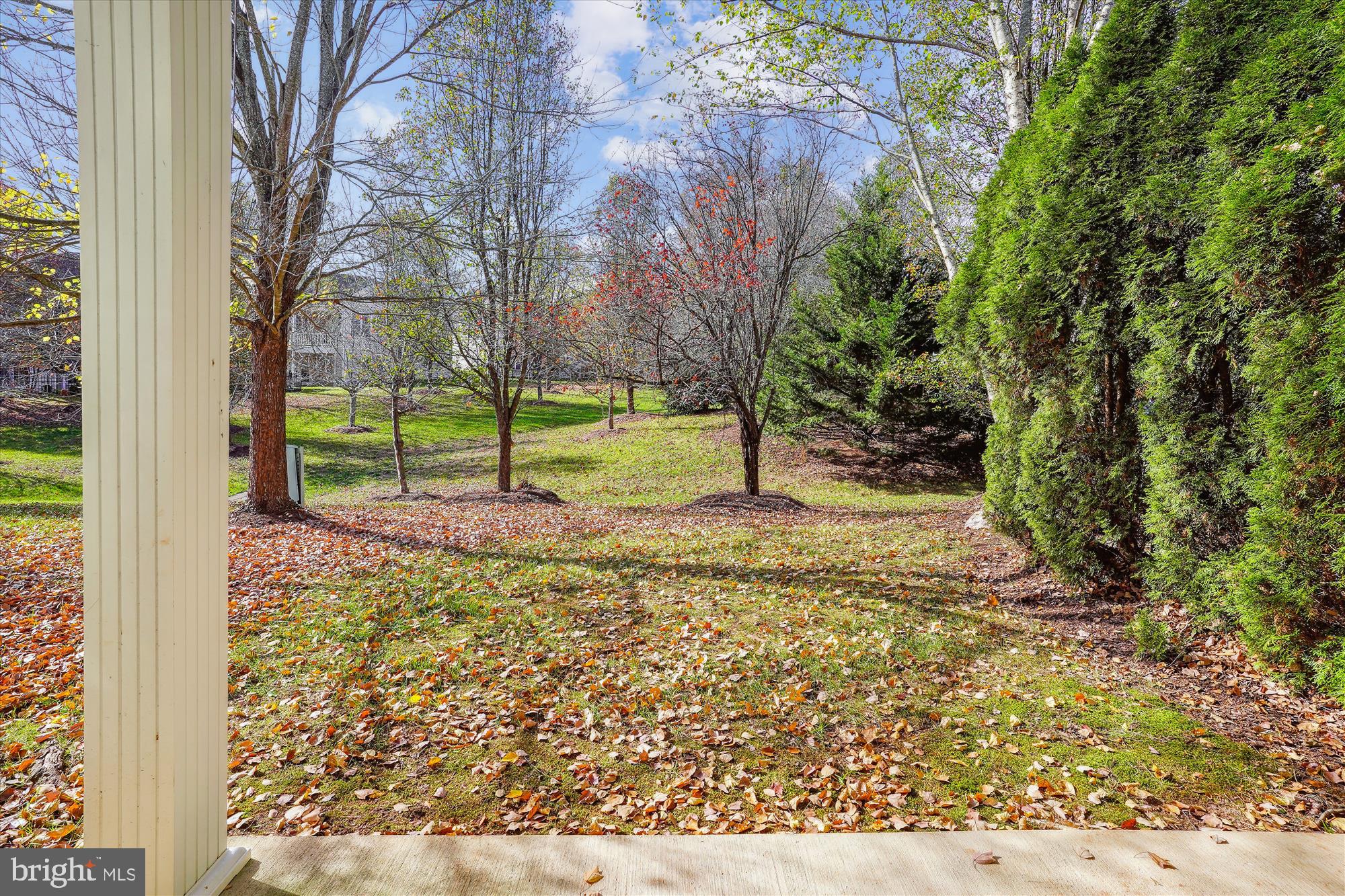 REGENCY AT DOMINION VALLEY - Residential