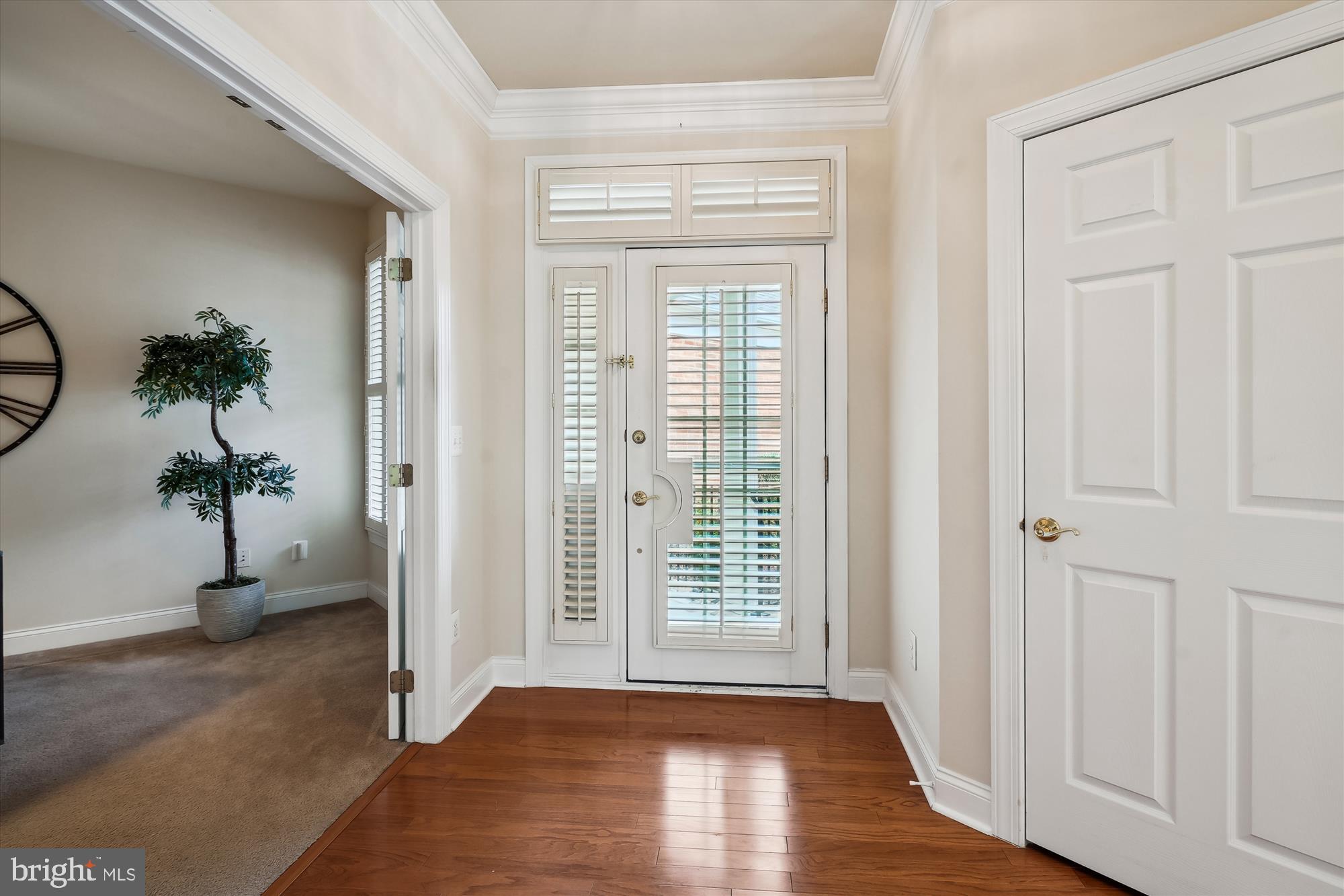 REGENCY AT DOMINION VALLEY - Residential