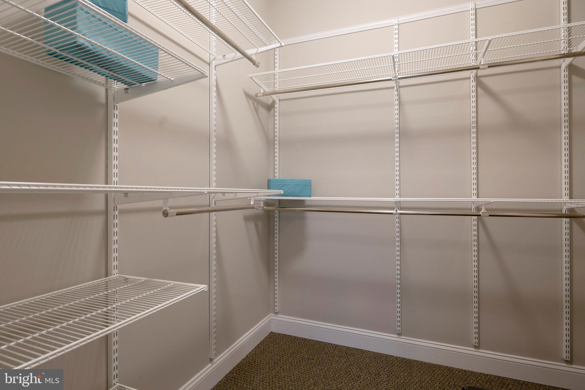 SAINT DAVIDS PARK - Residential Lease