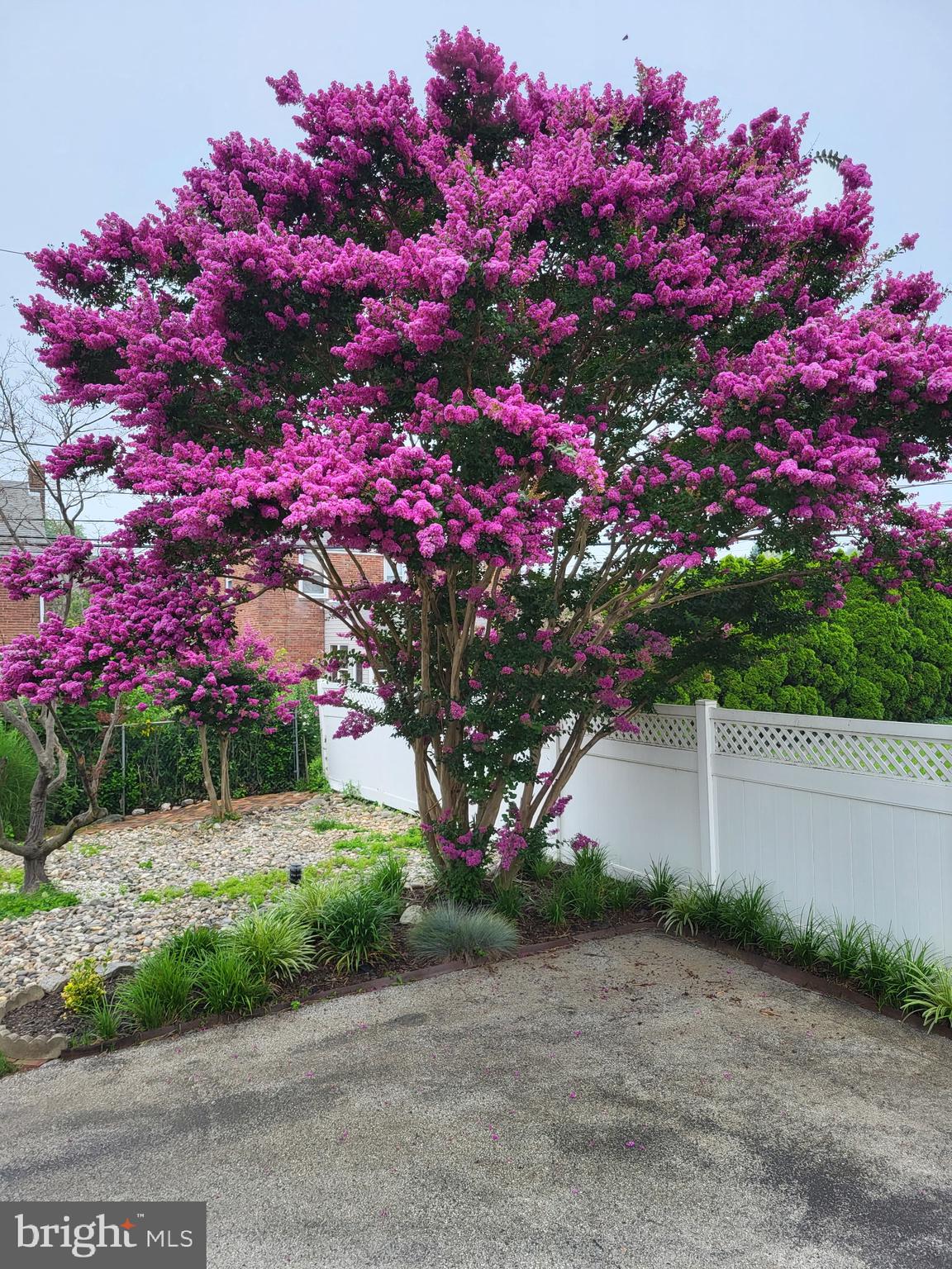 DREXEL HILL - Residential