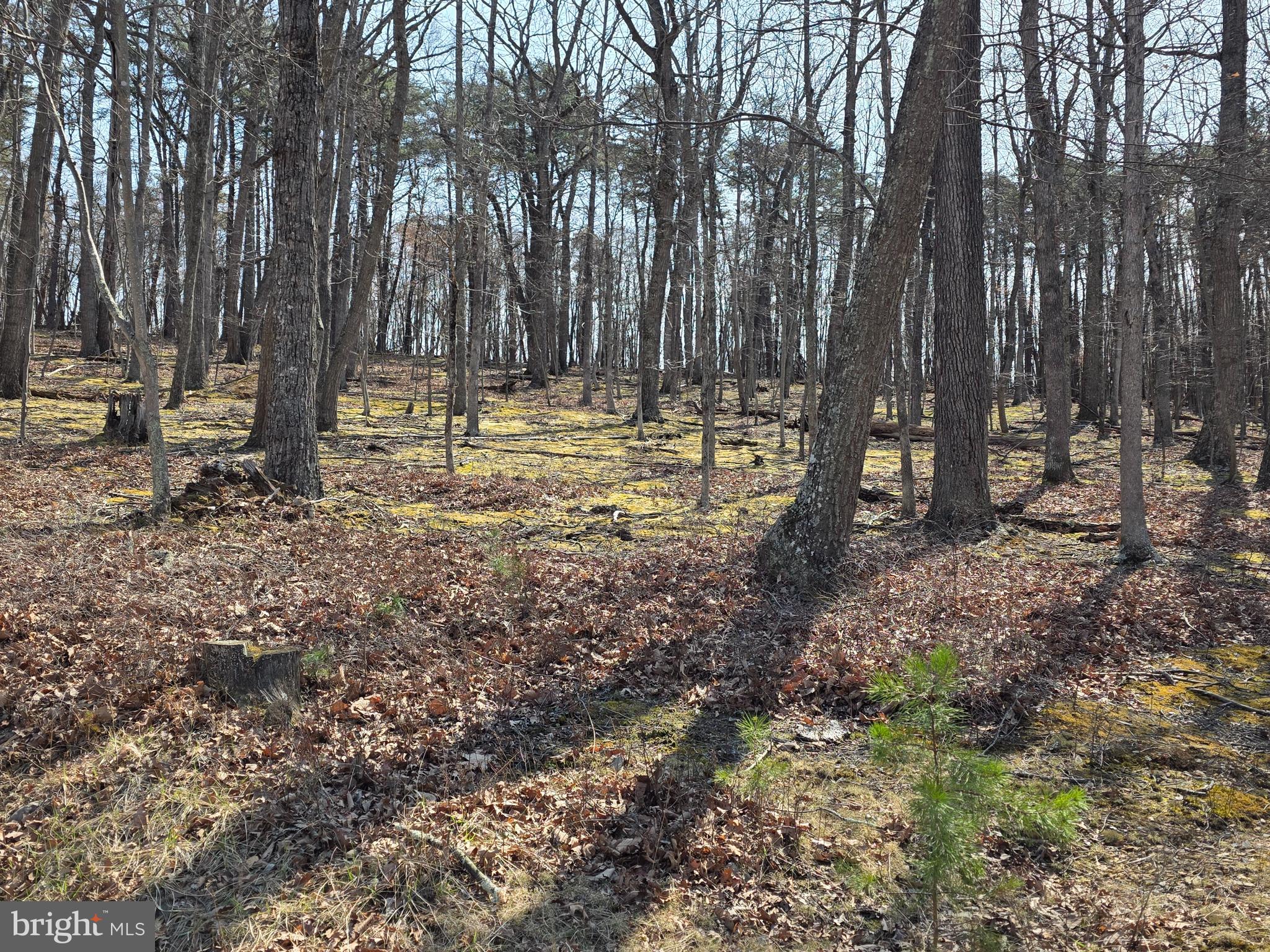 BUILDABLE LOT this 2.611-acre lot has great potential. Come clear this lot to your taste. This lot is all wooded so getting some privacy shouldn't be difficult. Being located in southern Morgan County makes for easy access to Berkeley Springs or Winchester Va. This lot is also less then 10 minutes from Sleepy Creek Wildlife Management Area to enjoy 22,000+ acres of public ground for hunting or hiking. Also, Sleepy Creek offers a 200+acre lake for fishing or boating/kayaking. (electric motors only). There is a perc on file for this lot so don't waste time getting your home started. Take the time to take a look.