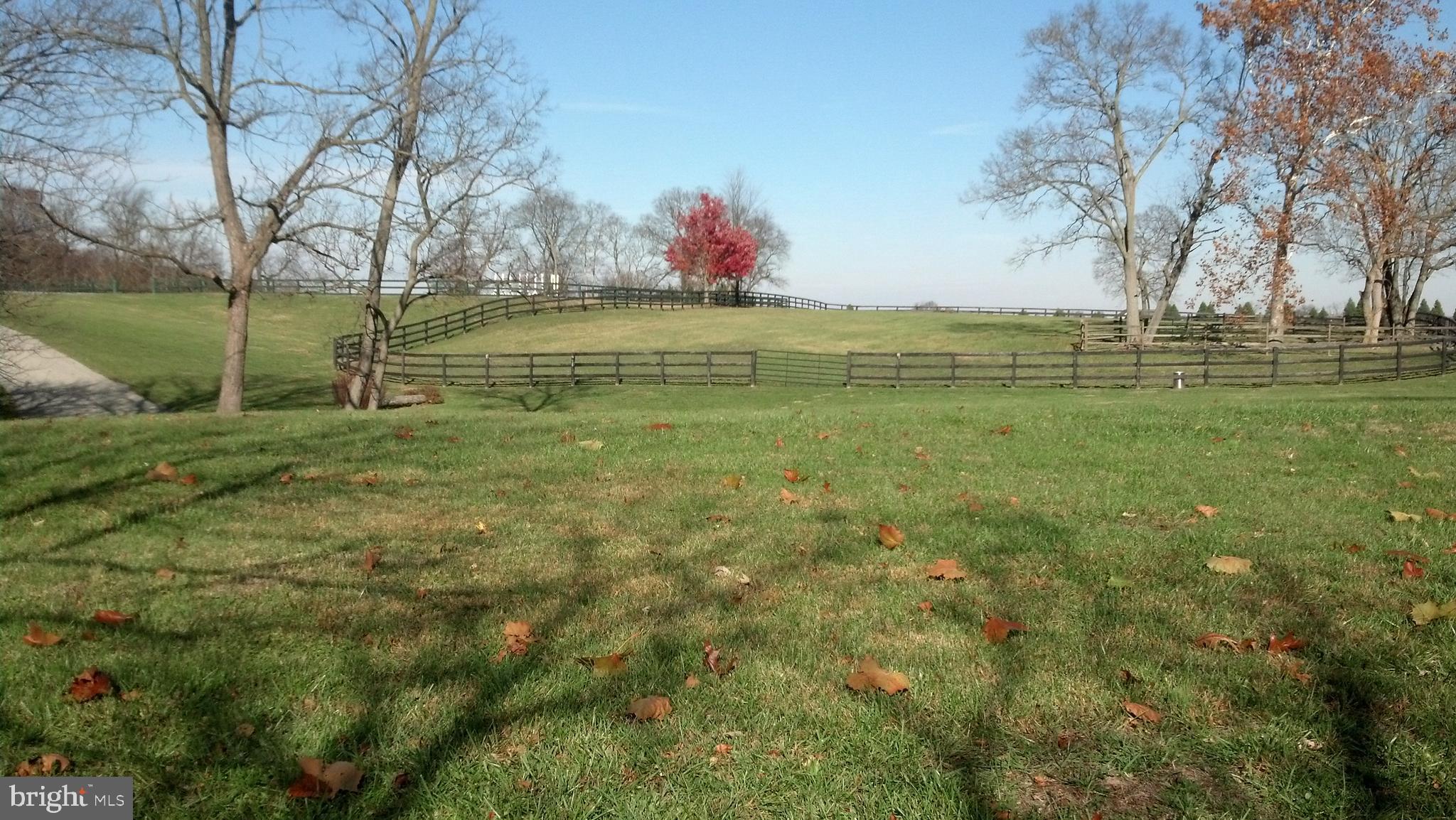 CLARKE COUNTY - Residential Lease