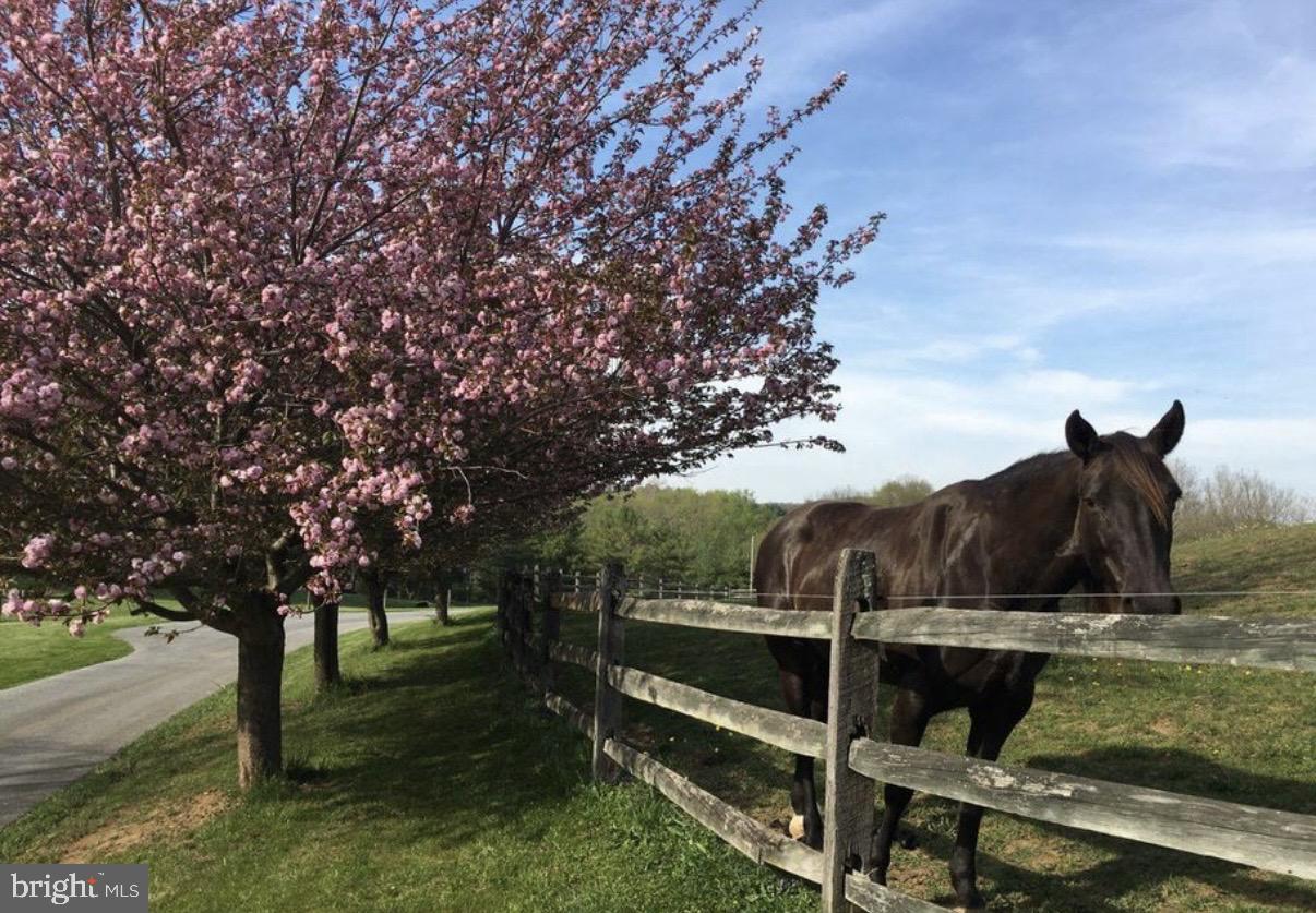 LENAPE SPRINGS - Residential
