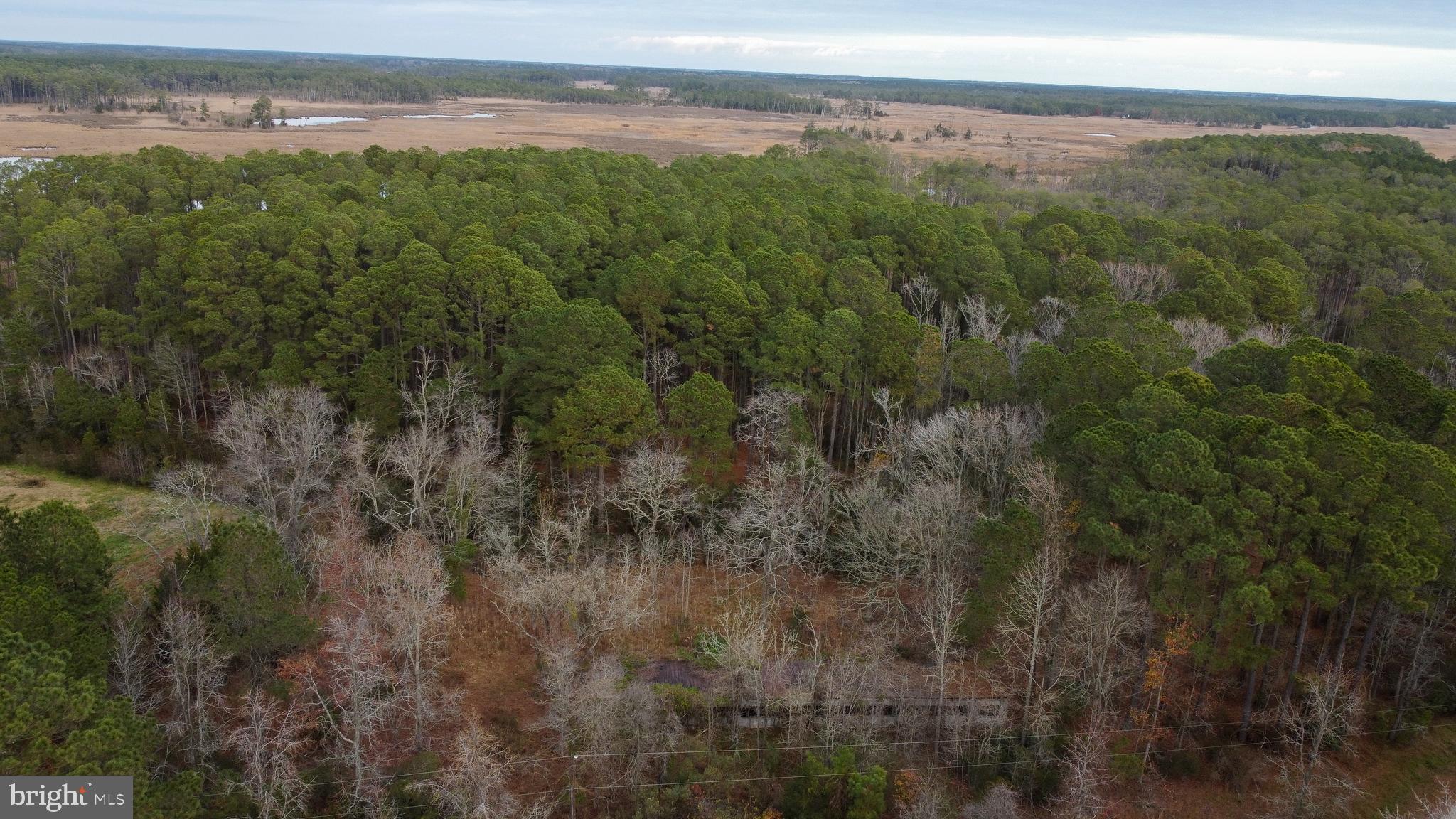 Discover this 7.12 ± acre parcel located on O Rumbly Point Rd in Marion Station. This property offers a peaceful rural setting.  Lot is surrounded by lots of timber and fields making it ideal habit for whitetail hunting or a secluded place for camping.  Create a private retreat, or hold as an investment.  The lot also provides easy access to local roads being only a short drive to Crisfield, public boat ramps, and Eastern Shore amenities.  Come check out what Somerset Co has to offer..
Buyer responsible for all due diligence regarding perk testing, well/septic installation, utilities, and county approvals