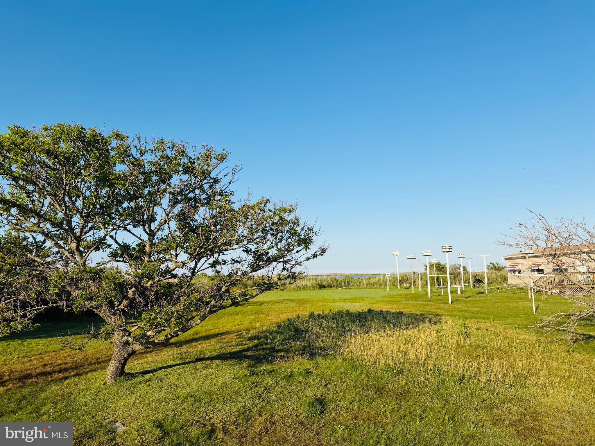 SMITH ISLAND - Land