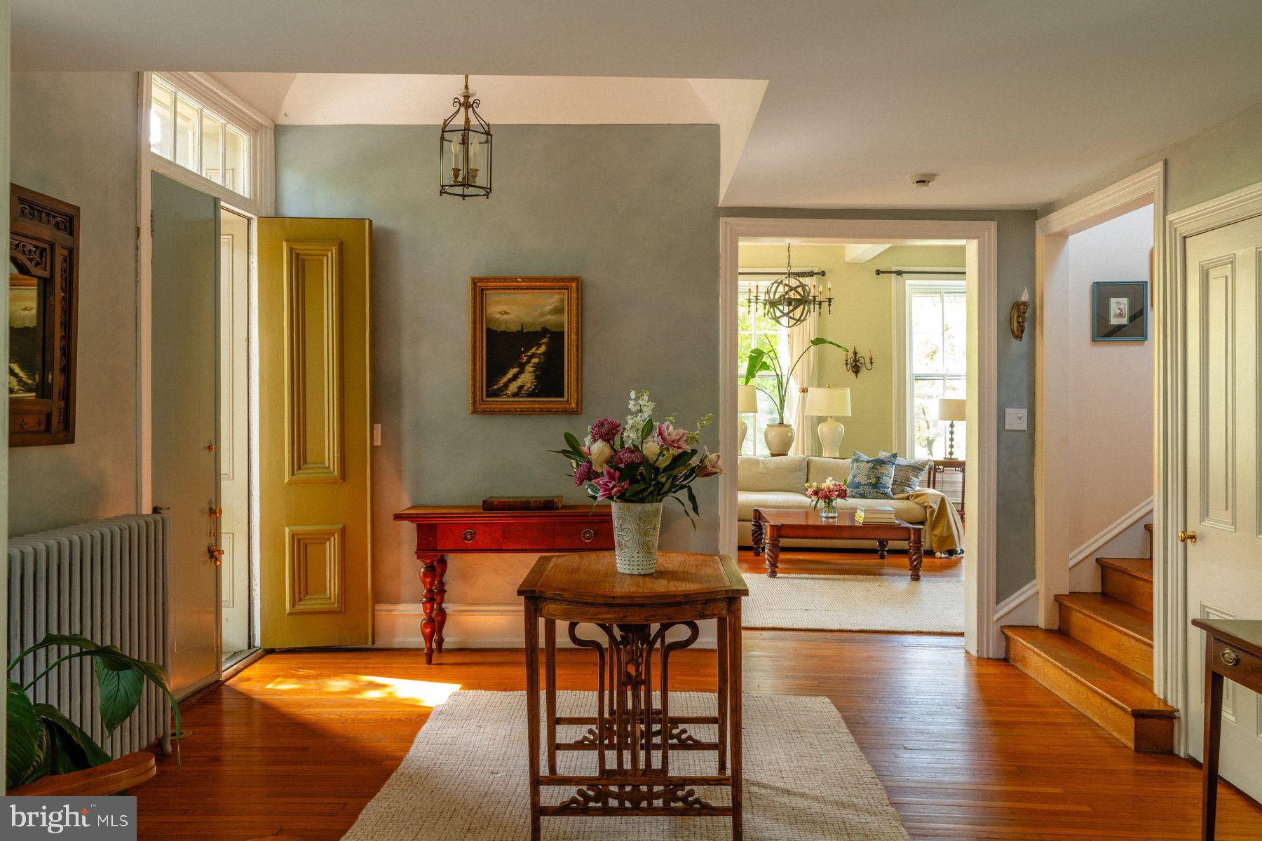 CHESTNUT HILL - Residential