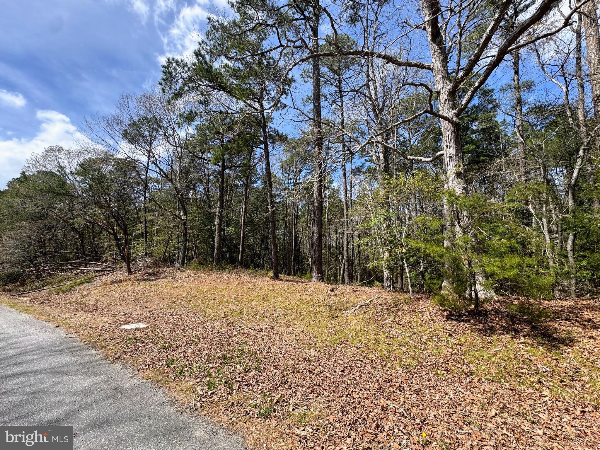 Welcome to Lot 1842 Mutiny Drive in Greenbackville, VA. This spacious 65 x 150 ft lot is ideally located in a coastal setting. Just minutes from Chincoteague Bay, it offers a great opportunity to build a primary residence, vacation retreat, or investment property. Enjoy the laid-back lifestyle with easy access to boating, fishing, kayaking, and other water-based activities.

Located within the Captain’s Cove Golf & Yacht Club community, property ownership includes access to a variety of amenities such as indoor and outdoor pools, a fitness center, tennis courts, playgrounds, and more. Golf memberships and marina use are available separately.

This location also offers convenient access to the unique charm of Chincoteague Island and Virginia’s Eastern Shore. Nearby, you’ll find local seafood restaurants, shops, and coastal boutiques. Assateague Island National Seashore is just a short drive away, offering natural beaches and the famous Chincoteague ponies that roam the island.

Explore the possibilities and make your coastal living vision a reality on Virginia’s beautiful Eastern Shore.