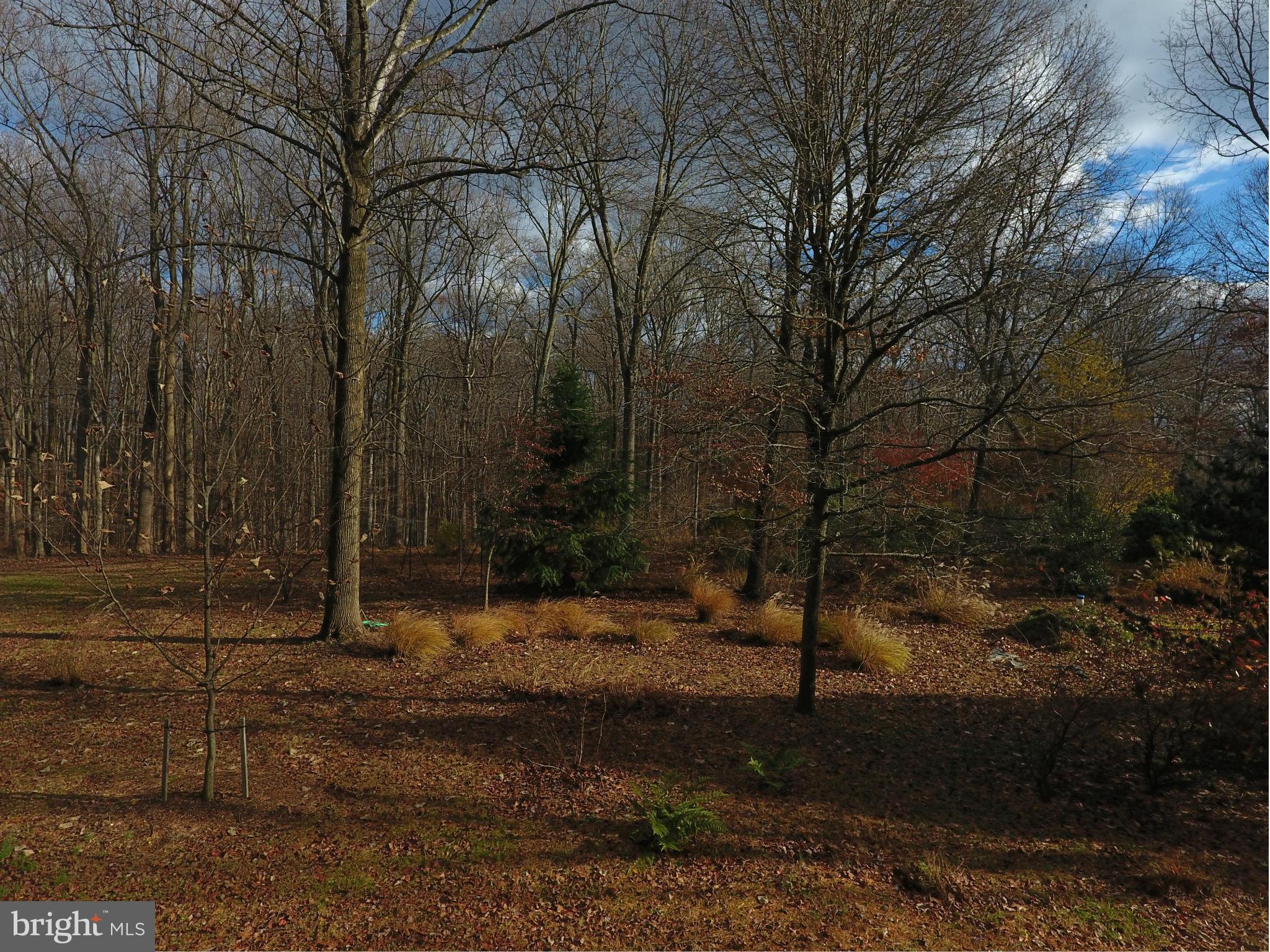 Awesome 2.37 acre lot backing to the former Chestnut Ridge Golf Club. Large level building envelope with woods behind. Professionally landscaped setting with private drive leading to gated entrance (shared). Well is drilled and perc tests approved for septic. Call for plats and details.