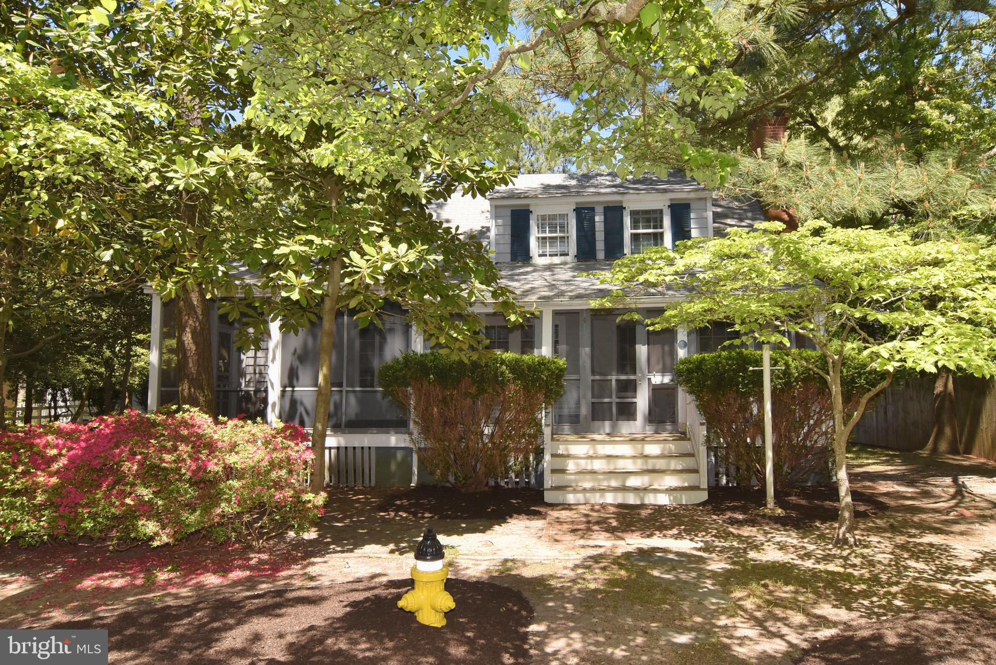 Do not miss out on this opportunity to be on one of the best streets in Rehoboth Beach!  17 Park Avenue consists of a 100' x 100' lot improved by a three bedroom, two and one half bath home.  You will immediately sense the feel of old Rehoboth when you enter this  classic beach cottage.  A gracious front screened porch allows you to sit and enjoy the sights and sounds of the neighborhood known as "The Pines"! Just a short walk to the ocean beach and close to everything Rehoboth Beach and the coastal resorts have to offer.  If you're looking for new, this property would allow a larger than normal new construction home with plenty of room for a pool.  Go through the subdivision process with the town and have two buildable lots. There are so many possibilities to explore with this unique property!