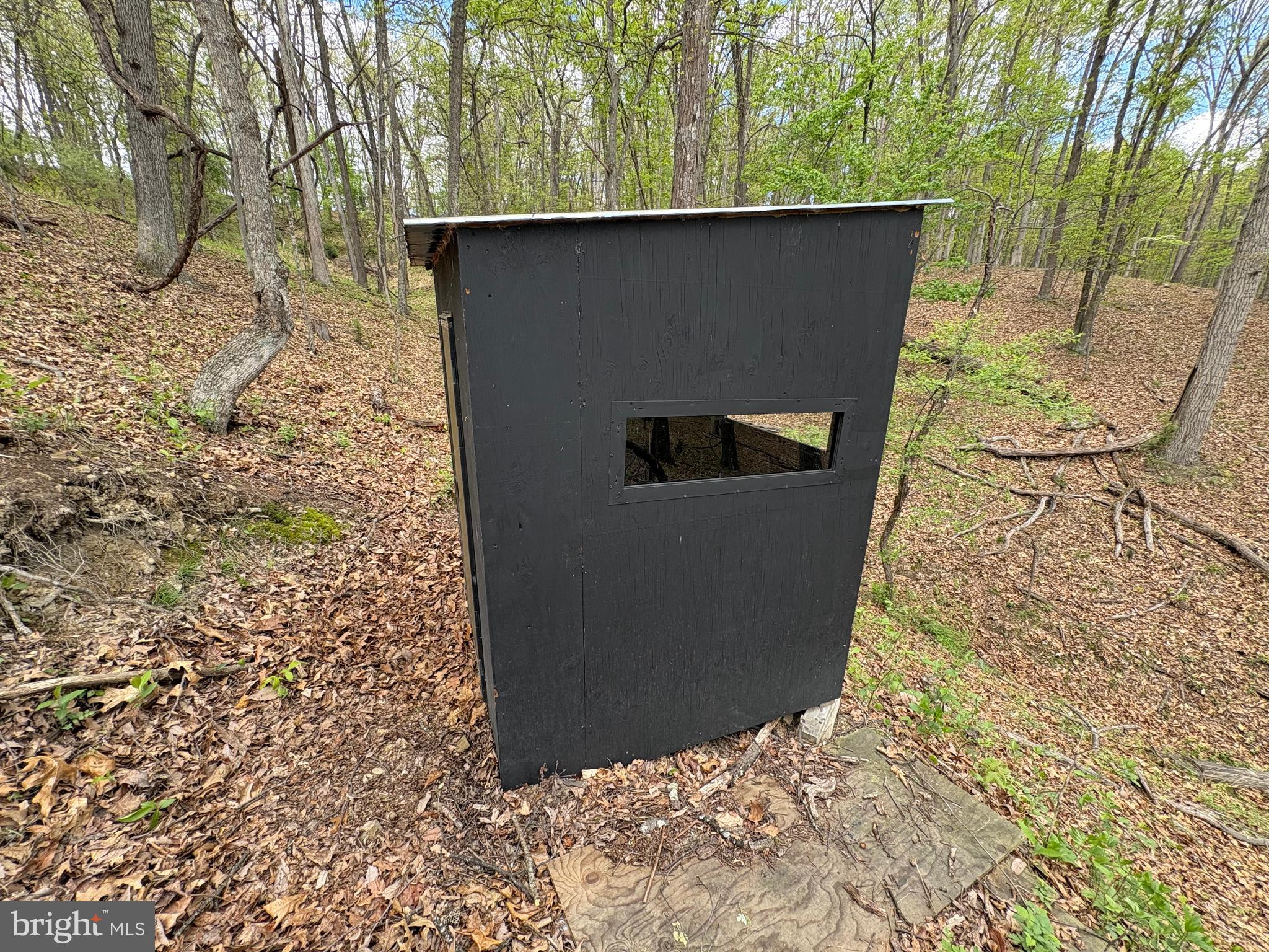 CABIN ON THE MOUNTAIN - Land
