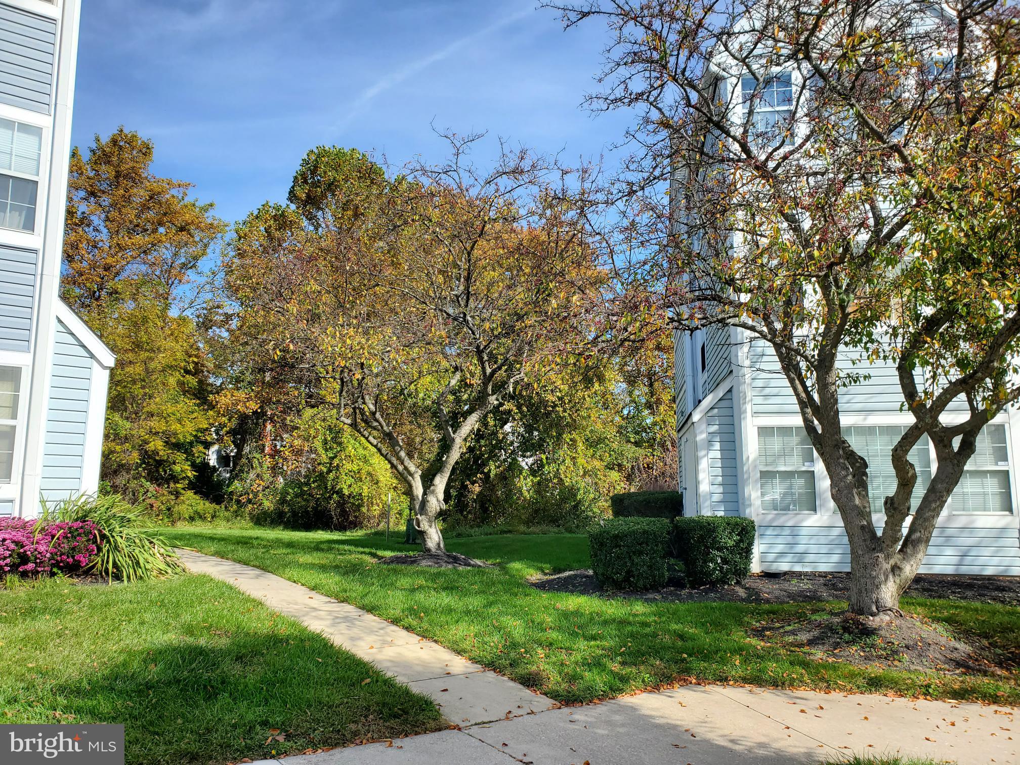 MONTGOMERY RUN - Residential