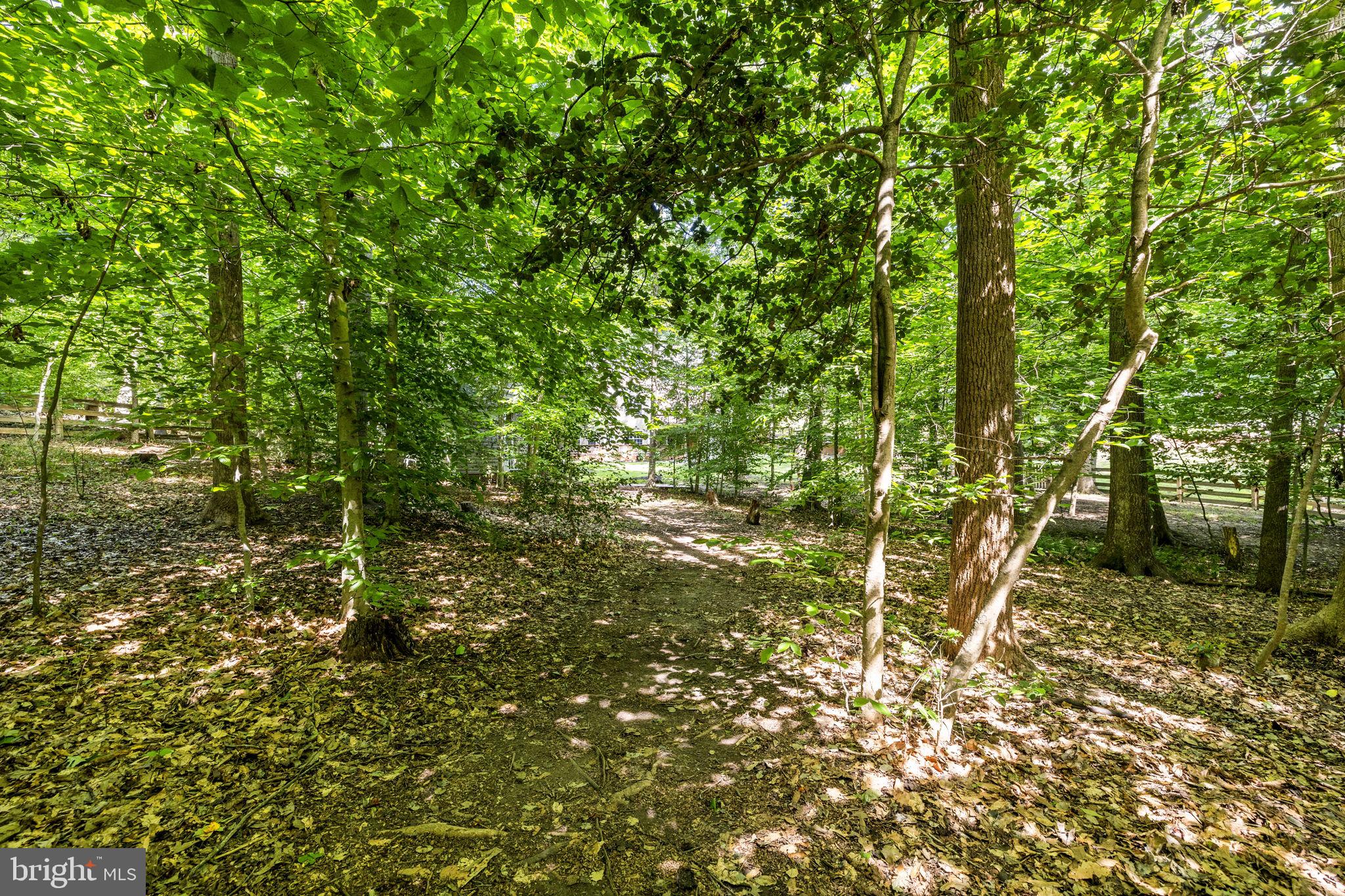 SUMMERS LANDING - Residential