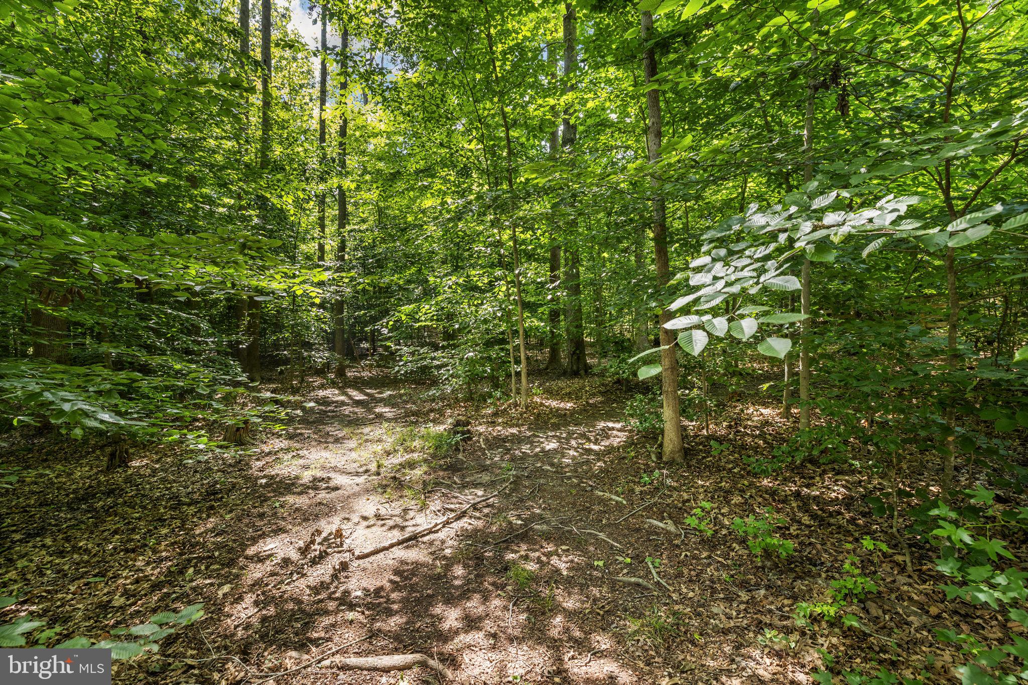 SUMMERS LANDING - Residential