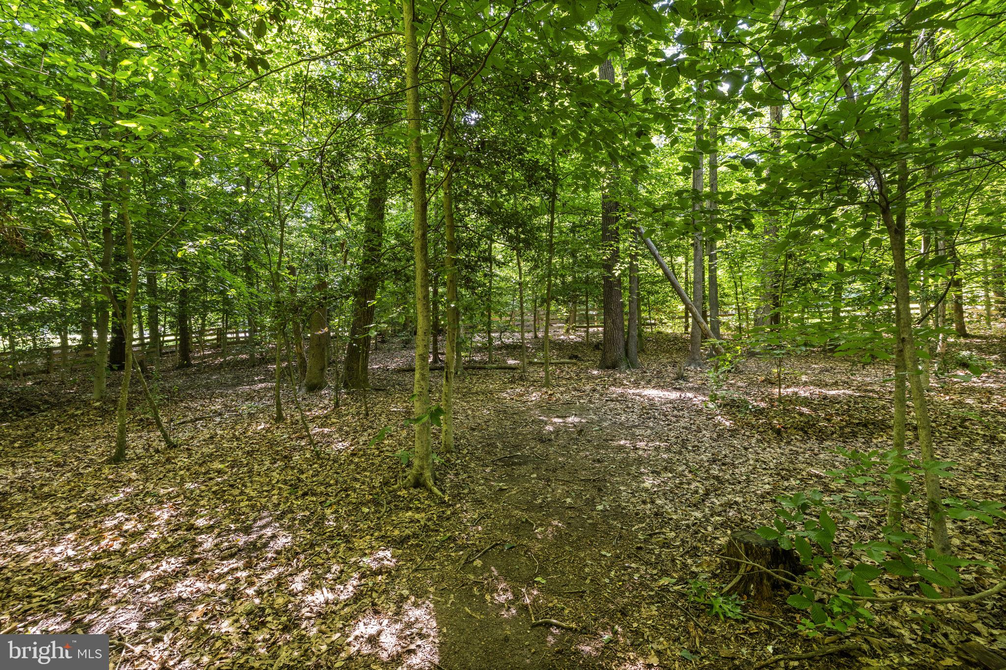 SUMMERS LANDING - Residential