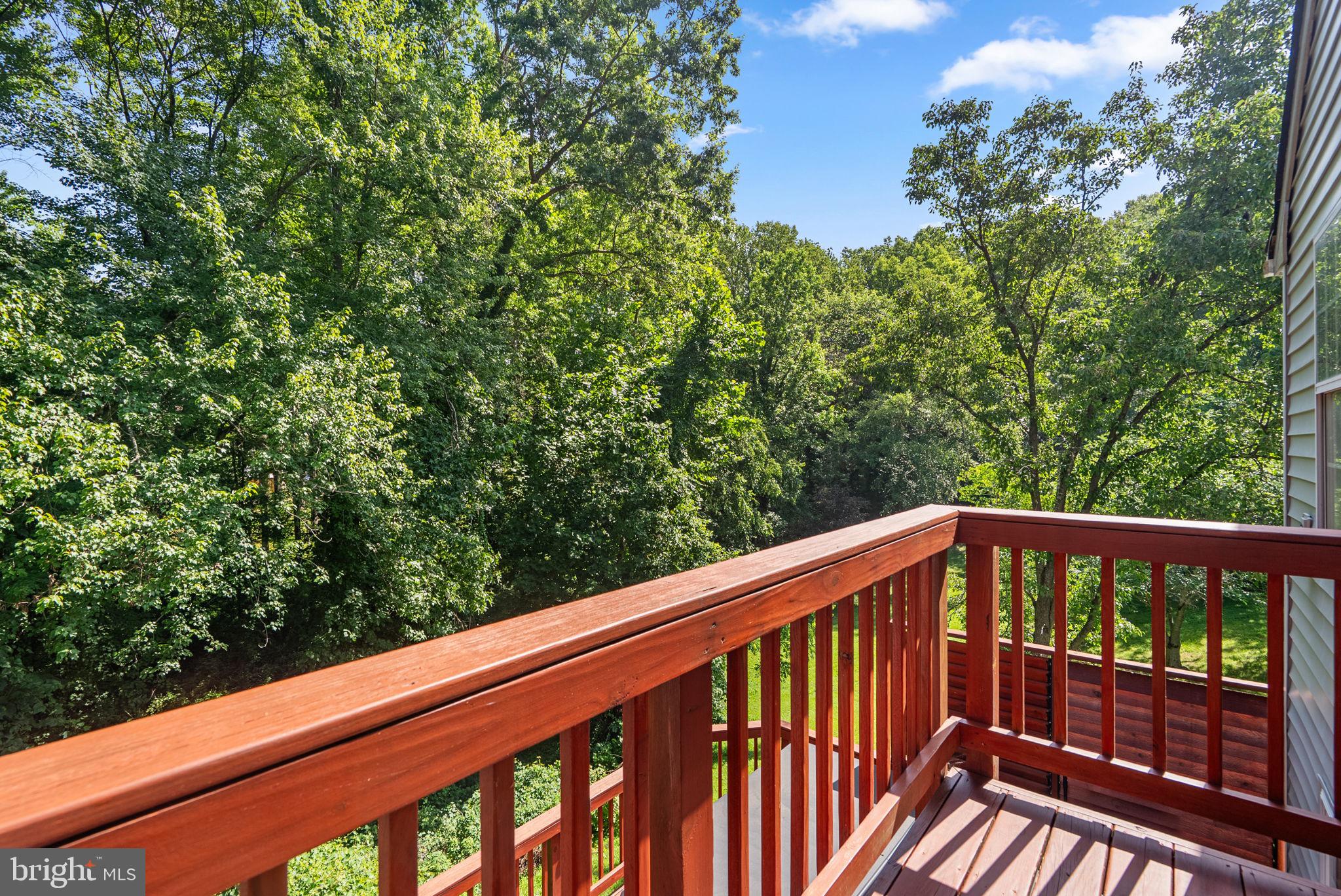 CHESTNUT HEIGHTS - Residential