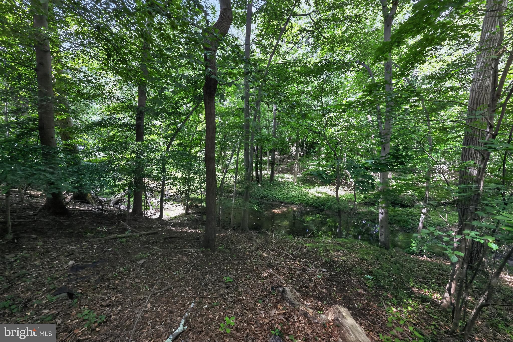 HICKORY HILL - Residential