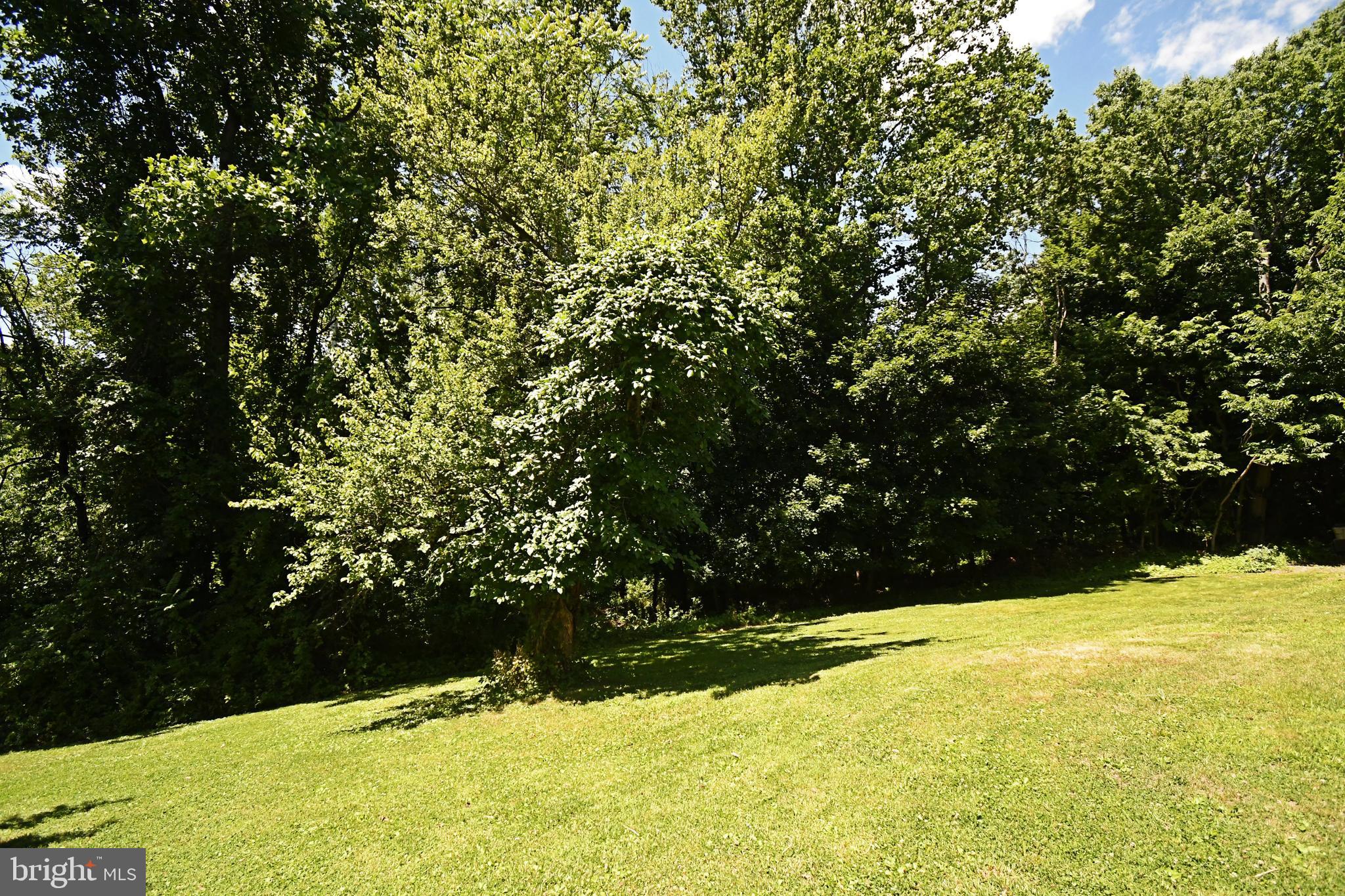 DOUGLAS MEADOWS - Residential