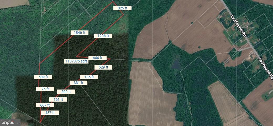 17.52± Acres of Wooded Land in Suffolk City! This tranquil parcel offers privacy and endless possibilities for your dream home or investment property. The land provides a serene natural setting. Buyer to verify all taxes. Property requires an easement for access. Perfect opportunity for those seeking a peaceful retreat or long-term investment in a growing area.

Property is landlocked with no recorded legal access. Buyer will be responsible for obtaining an easement. All due diligence, including access, zoning, and taxes, to be verified by buyer. No plat and no survey for land. Please do not try to go onto land unless you have a an appointment. No water and no sewer. Unimproved land only.

Buyers to do their due diligence.