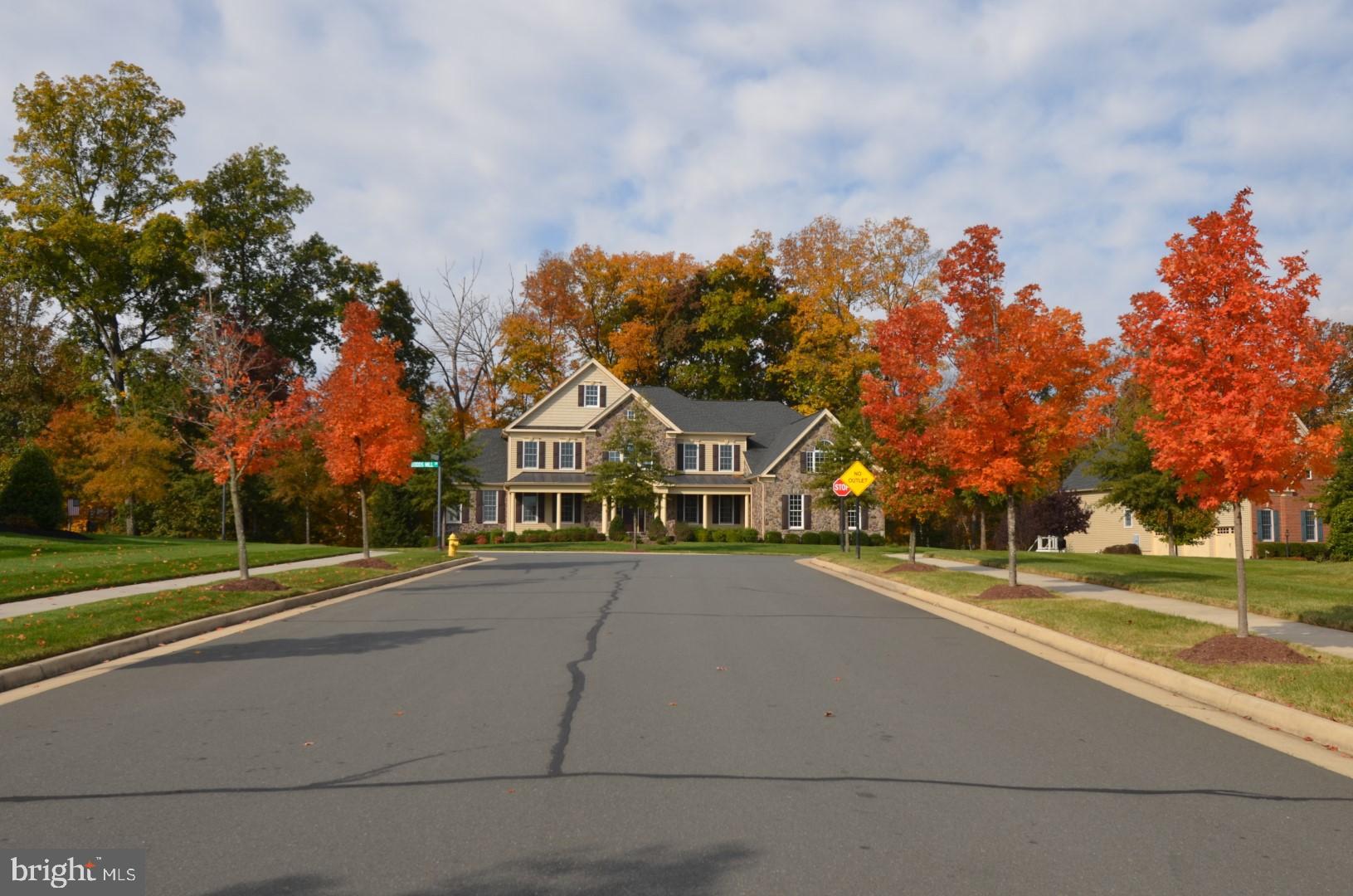 DOMINION VALLEY COUNTRY CLUB - Residential