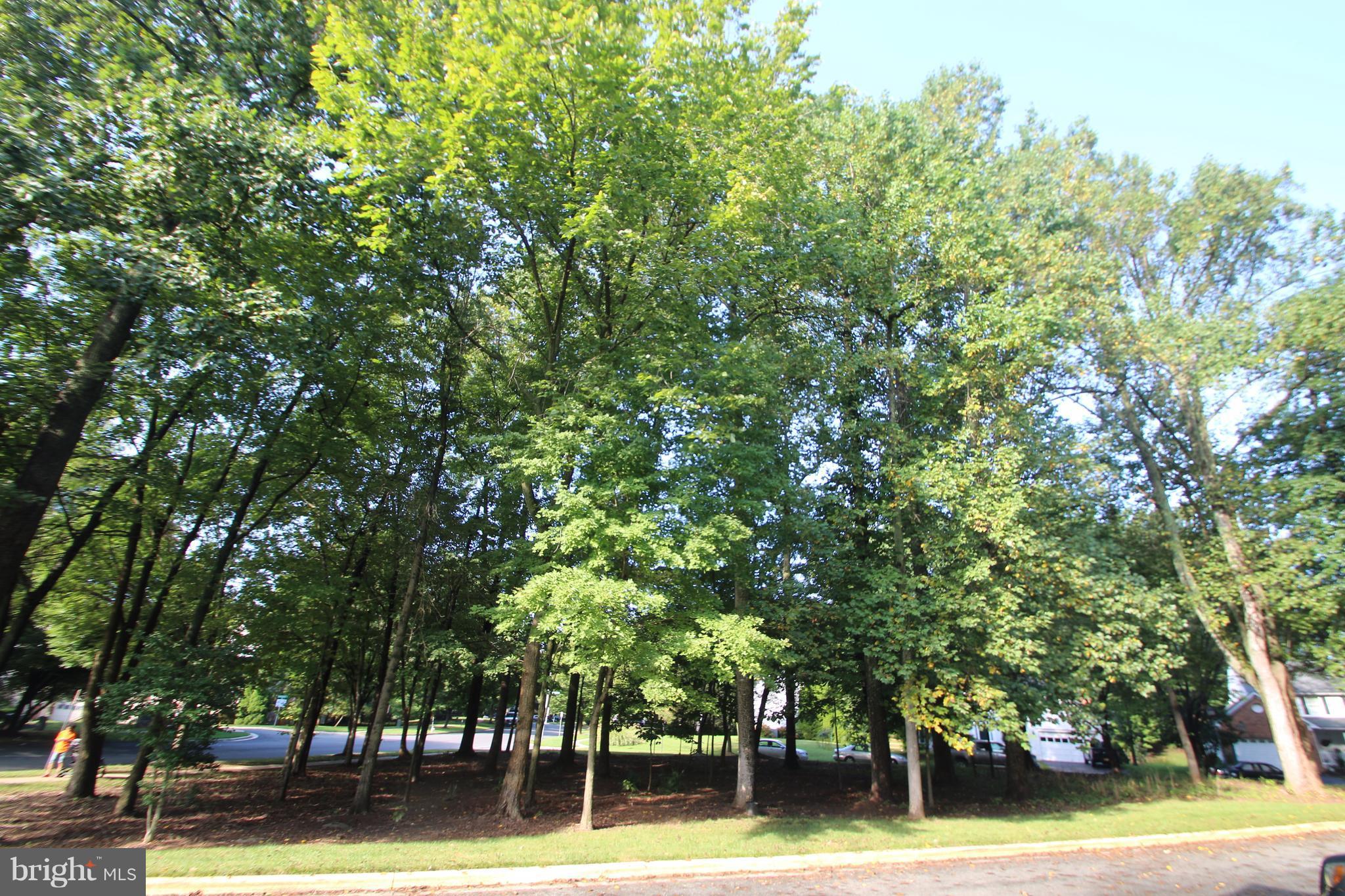 JAMES CREEK - Residential