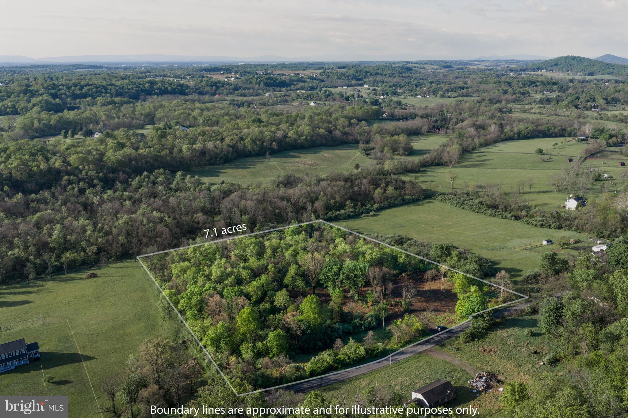 7 scenic acres with no restrictions and endless potential. Offering over 450' feet of road frontage, this beautiful parcel features a gentle slope and a thoughtfully prepared layout for future development. A partially cleared area is ready for a potential homesite, with an additional cleared septic location already in place. Current owner is in the process of obtaining well and septic certification for a 4-bedroom septic system. The land offers a stunning mixture of mature hardwoods including maple, cherry, black walnut, and oak, creating both privacy and natural beauty. A partial trail has already been cleared and extends toward the rear property line, making it easy to explore the acreage. Whether you’re dreaming of a private residence, weekend retreat, mini-farm, or investment opportunity, this unrestricted property is ready for your vision. *Agent is related to owner* The information contained herein is for informational purposes only. RE/MAX Roots makes no representation as to the accuracy or reliability of the information. The buyer is to verify information provided and related to the property that is material to a buyer’s decision to purchase the property. All documents and other information attached to this listing are provided as a courtesy and should be researched and verified by the buyer agent.