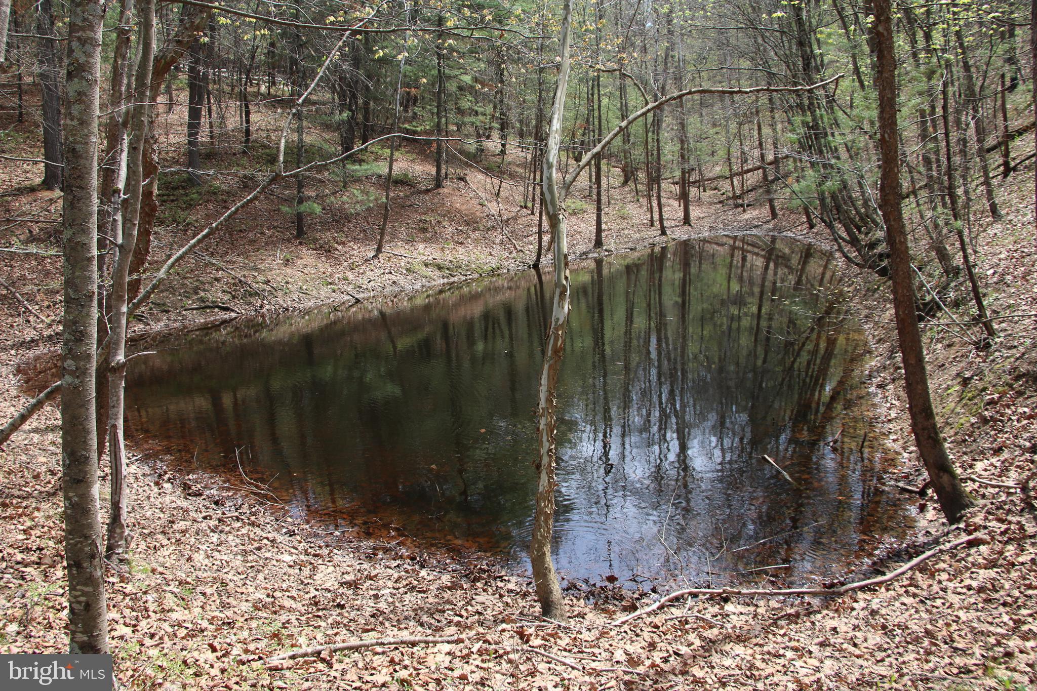 Own a piece of the beautiful Back Creek Heights community in Cross Junction. Located just minutes north of Winchester in the Dehaven part of the county. Access is secured via road frontage on Hodges Lane. Experience exciting hunting as many types of wildlife call this property home including deer, turkey, and many small game species. This tract is currently being used for recreation and hunting. A charming pond adds to the beauty and character of this land. Stellar views of the surrounding countryside are attainable with some tree clearing. This property features mildly sloping topography and a wet weather stream. Remote, fully wooded, and zoned Rural Areas (RA). No covenants, no restrictions, and no HOA! Enjoy hiking, camping, and recreation of all types on this land. A short drive from all the amenities and attractions Winchester has to offer. 

***Additional adjoining acreage available for purchase. See aerials for details.***