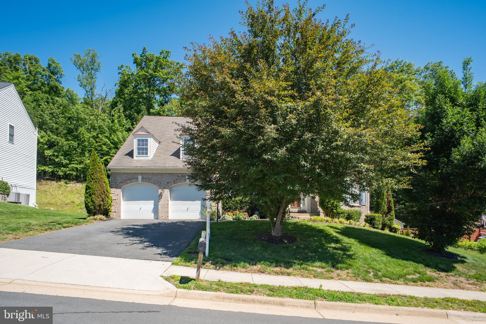 FOREST VISTA - Residential