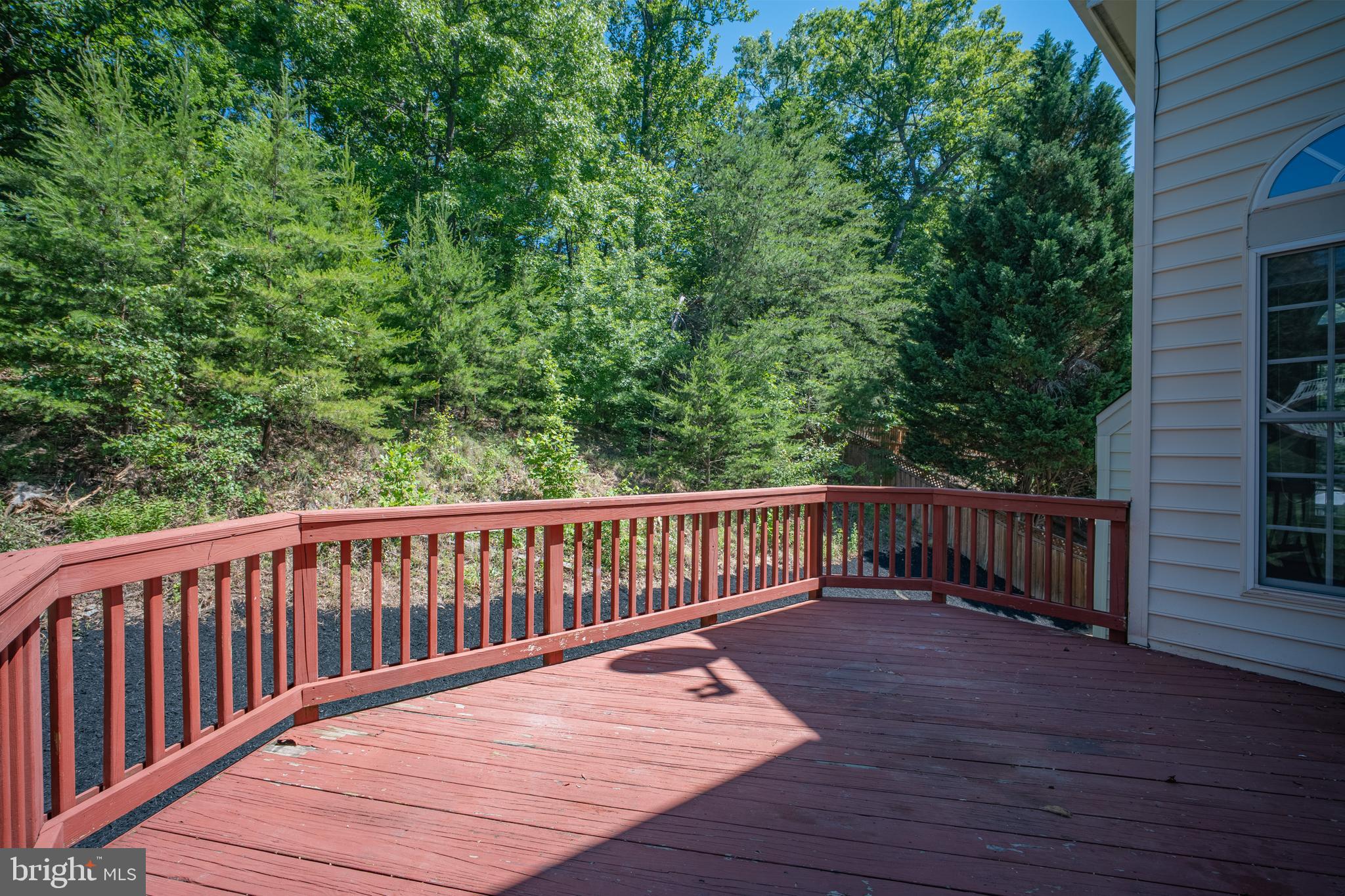 FOREST VISTA - Residential