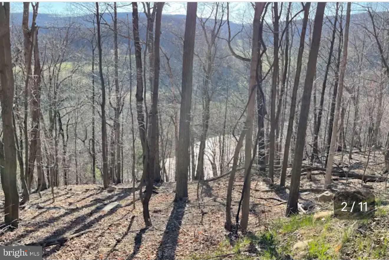 🌲 Your Private Mountain Escape Awaits! 🌲

1515 Barnum Road, Keyser, WV 26726

Leave the hustle and bustle behind and discover your own piece of Almost Heaven, West Virginia! This incredible property features two parcels totaling 20 unrestricted wooded acres, offering unmatched privacy, breathtaking scenery, and endless opportunities for outdoor adventure.

This great property is completely unrestricted — you can build anything as long as it is not in the ROW.  The culvert to handle drainage is very robust and goes all the way from Barnum Rd to below the graded areas on the property.

Designed for those who love the great outdoors, the property is already equipped with all-new infrastructure, including gravel roadways, two RV pads, multiple tent camping sites, gated access, and a camper that conveys as-is with the property—making it ready to enjoy from the moment you arrive.

Wake each morning to the peaceful sounds of nature, where the only things you'll hear are the breeze through the mature hardwoods and the North Branch of the Potomac River rushing below. Explore your own private acreage, gather around the campfire under a sky full of stars, or simply unwind in the serenity that only the mountains can provide.

Adventure is just minutes away! Enjoy world-class fly fishing, kayaking, and whitewater excitement at the Barnum Whitewater Area, or spend the day boating, fishing, swimming, and exploring the crystal-clear waters of Jennings Randolph Lake. Wildlife is abundant, seasonal mountain and river valley views are spectacular, and every season brings a new reason to fall in love with this property.

Whether you're searching for a secluded family retreat, a recreational paradise, or an investment opportunity with established camping infrastructure, this unique property offers unlimited potential.

✨ Privacy. Adventure. Investment. Relaxation. It's all waiting for you at 1515 Barnum Road.

📞 Don't miss this rare opportunity to own 20 acres in one of West Virginia's most scenic outdoor destinations. Schedule your private tour today and start living the mountain lifestyle you've always dreamed of!

👉 Note:   the Army Corp of Engineers own both banks between the dam and the Whitewater area below, but this property abuts that - so not waterfront in that sense, but the owners of this property & their guests and the public have access to the banks and they won’t be developed.