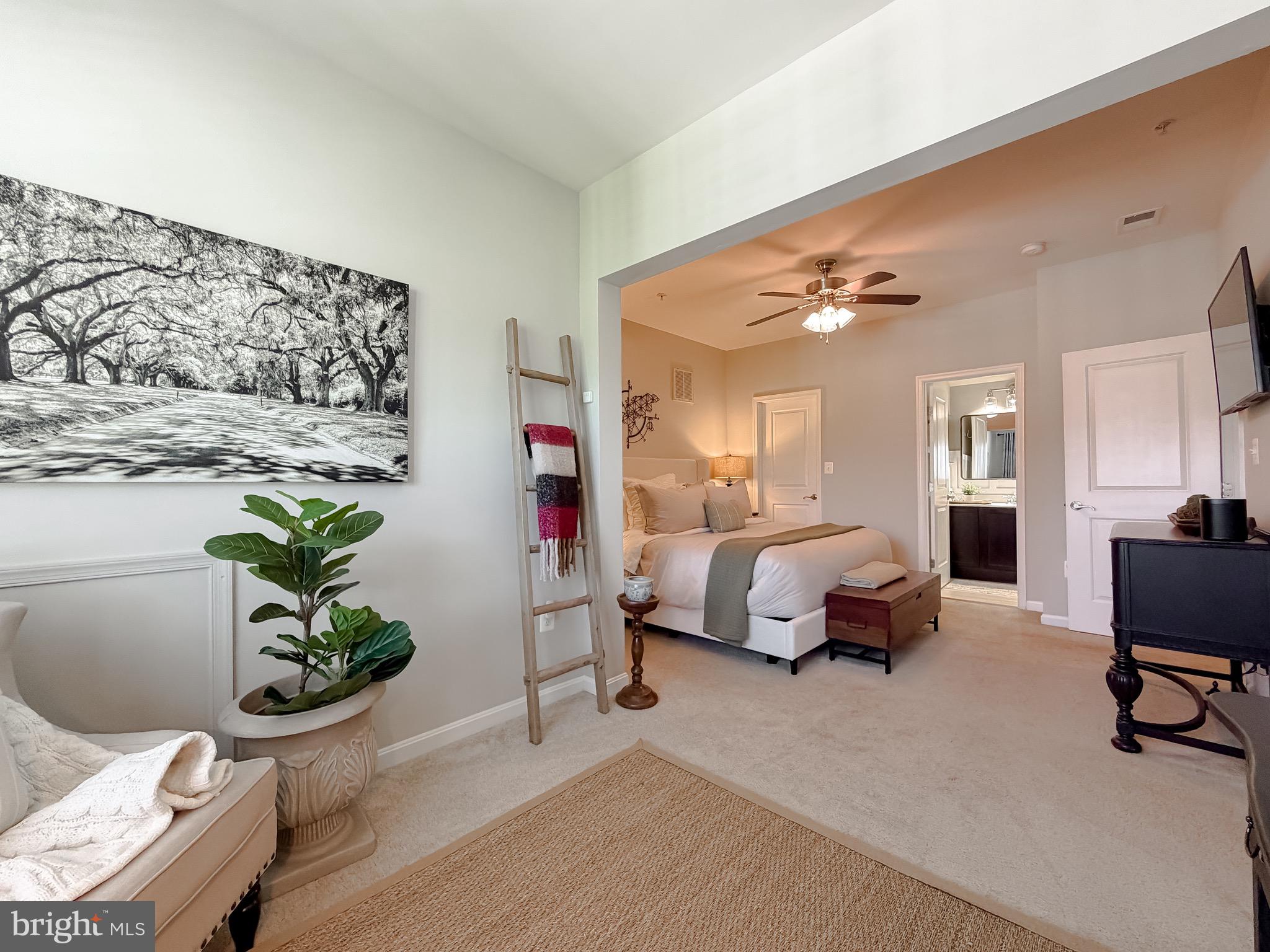 THE VILLAGES OF STEEPLECHASE - Residential